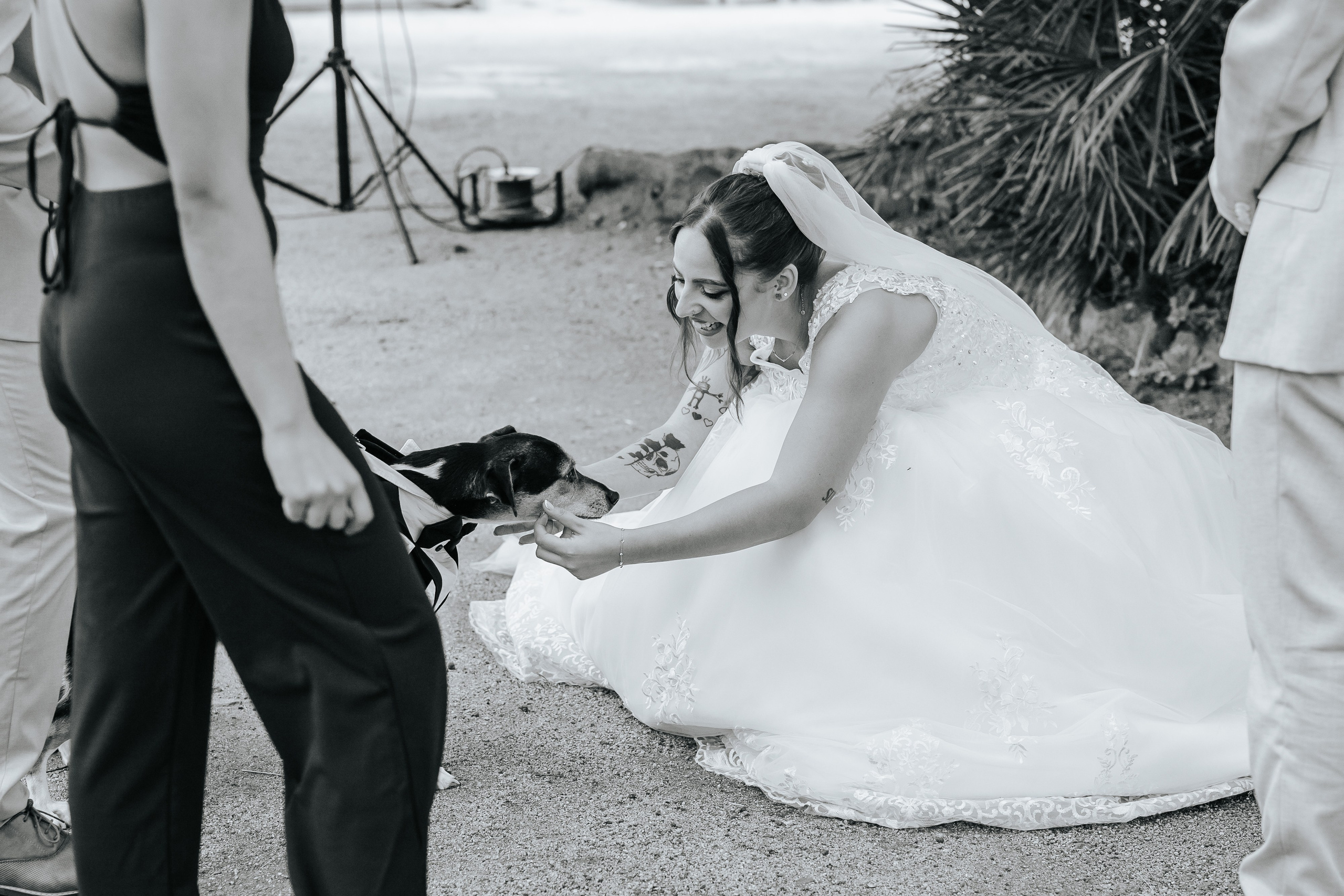 Marta+Adria, 27.09.2025, Can Caballe. Fotógrafa de bodas en Cataluña