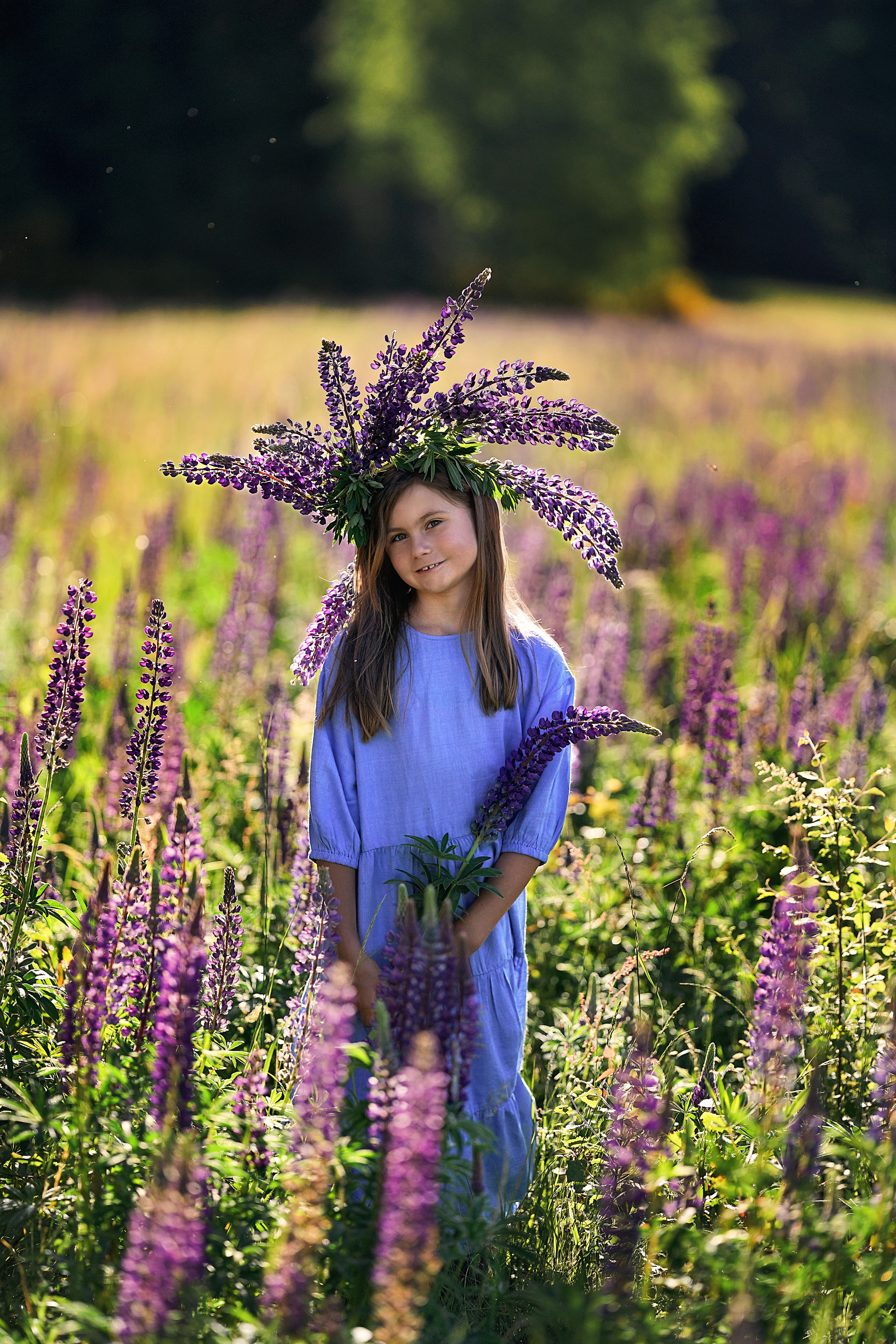 Дикие люпины. Семейный, детский и женский фотограф в Германии, Трире
