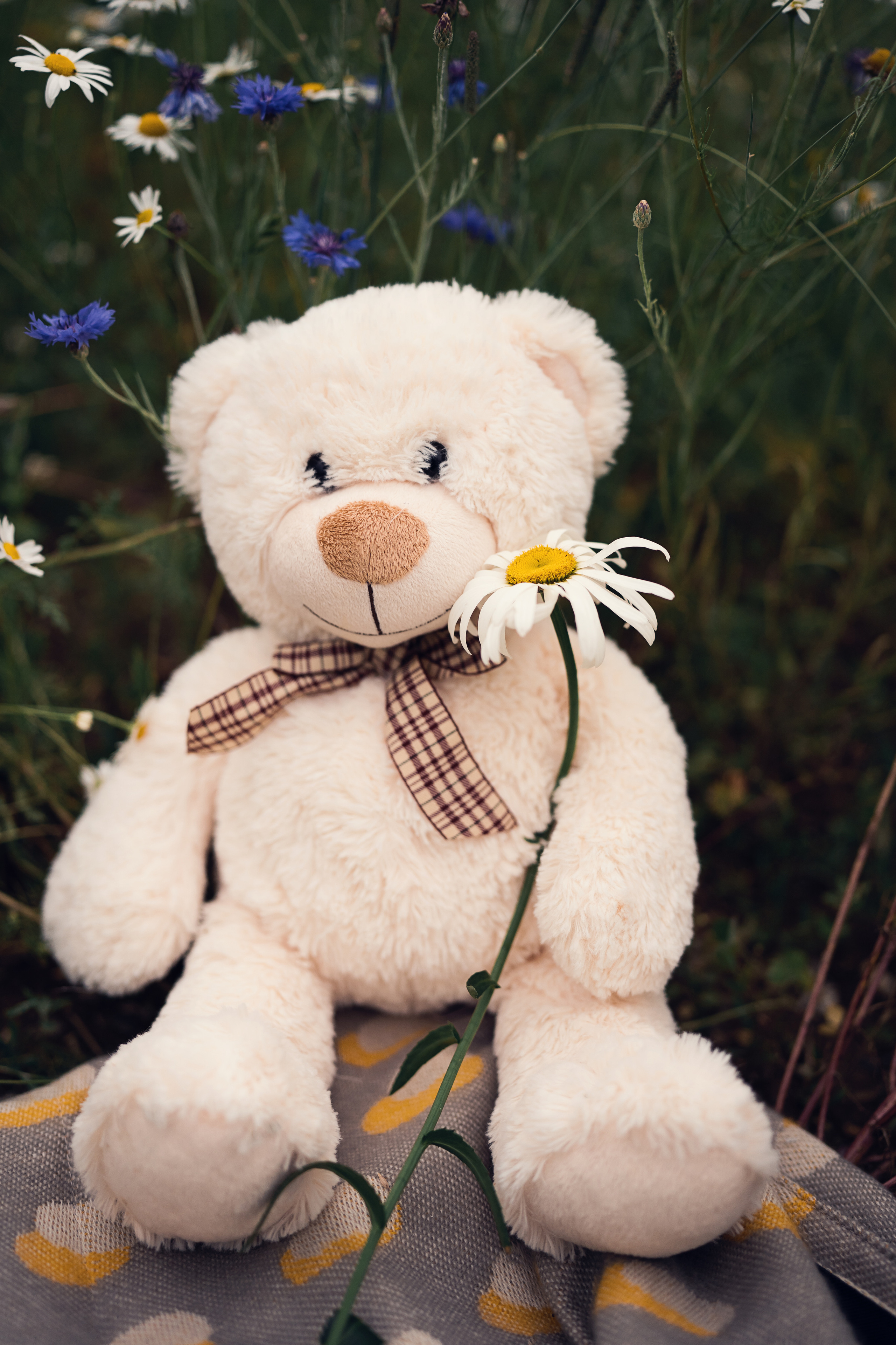 Childhood. Семейный, детский и женский фотограф в Германии, Трире