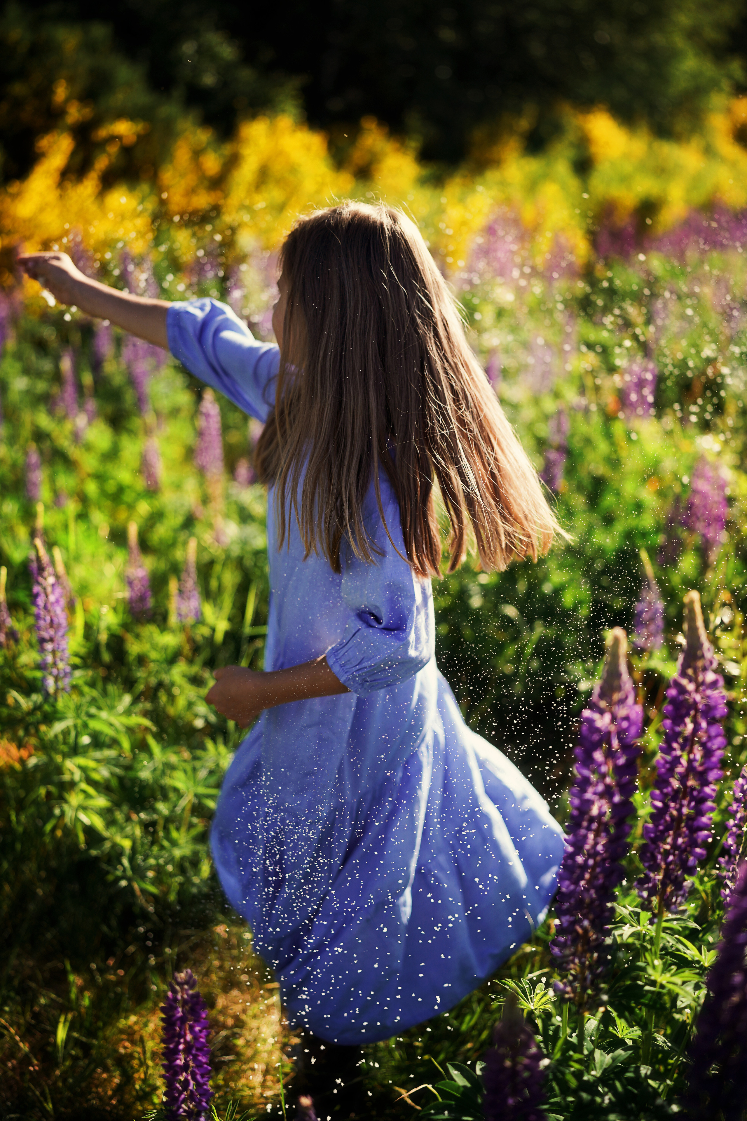 Дикие люпины. Семейный, детский и женский фотограф в Германии, Трире