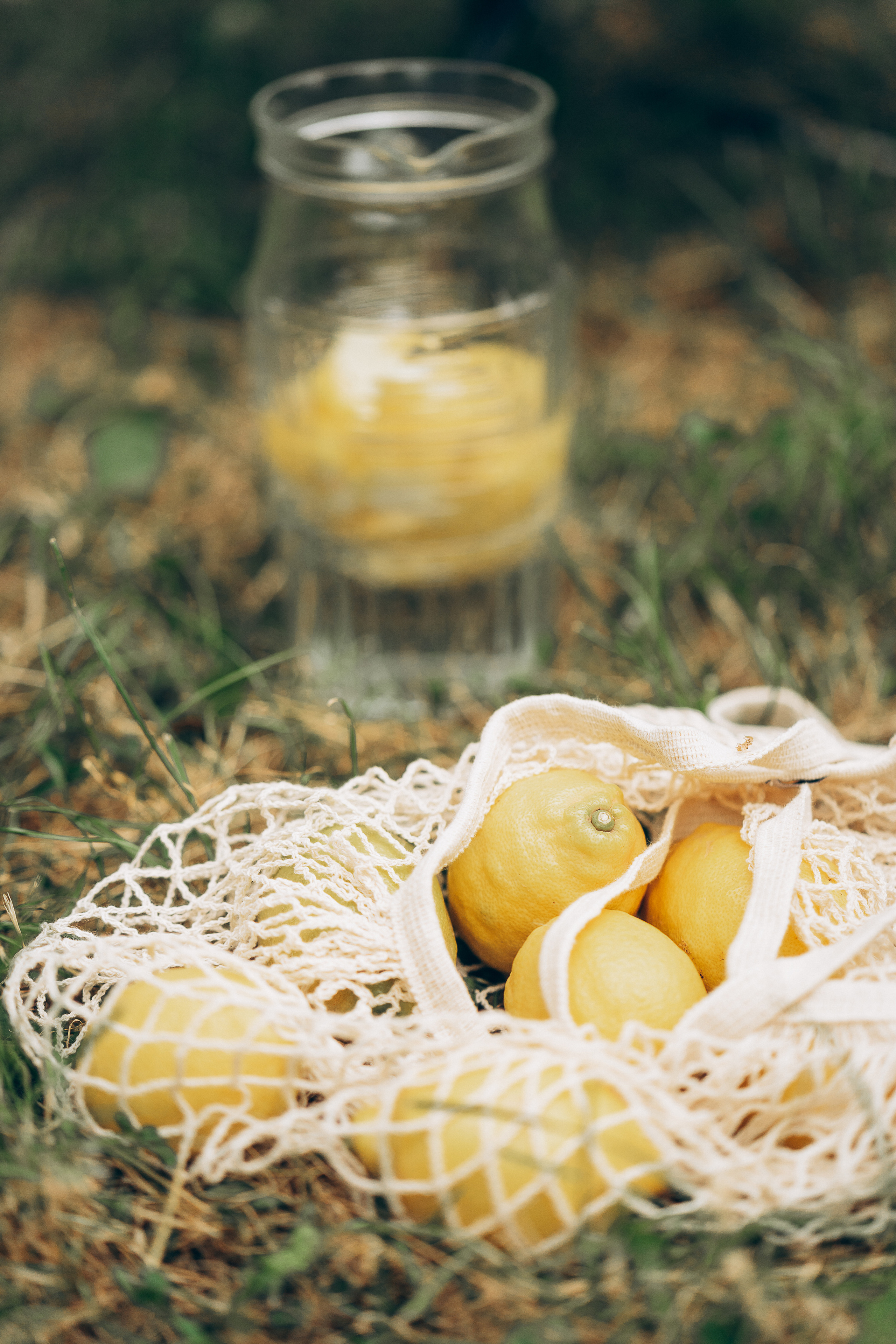 Dolce Limoni. Familien, Lifestyle und Portrait Fotografin in Trier, Luxembourg