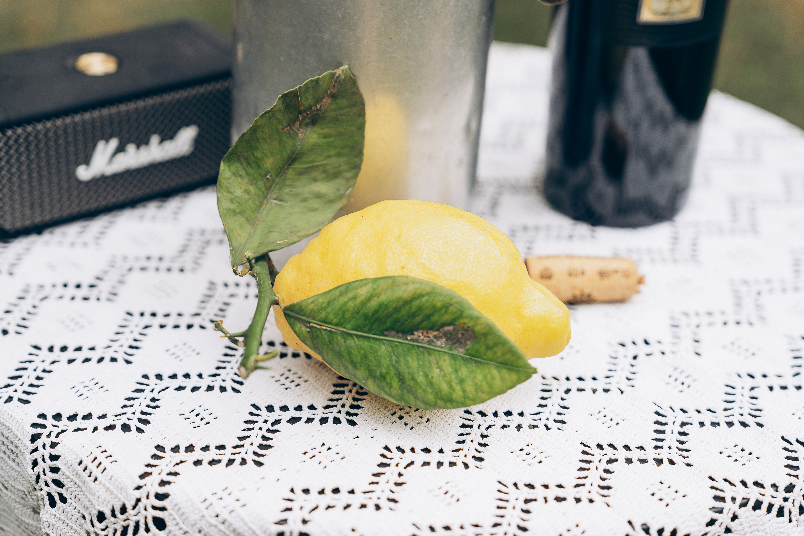 Dolce Limoni. Familien, Lifestyle und Portrait Fotografin in Trier, Luxembourg