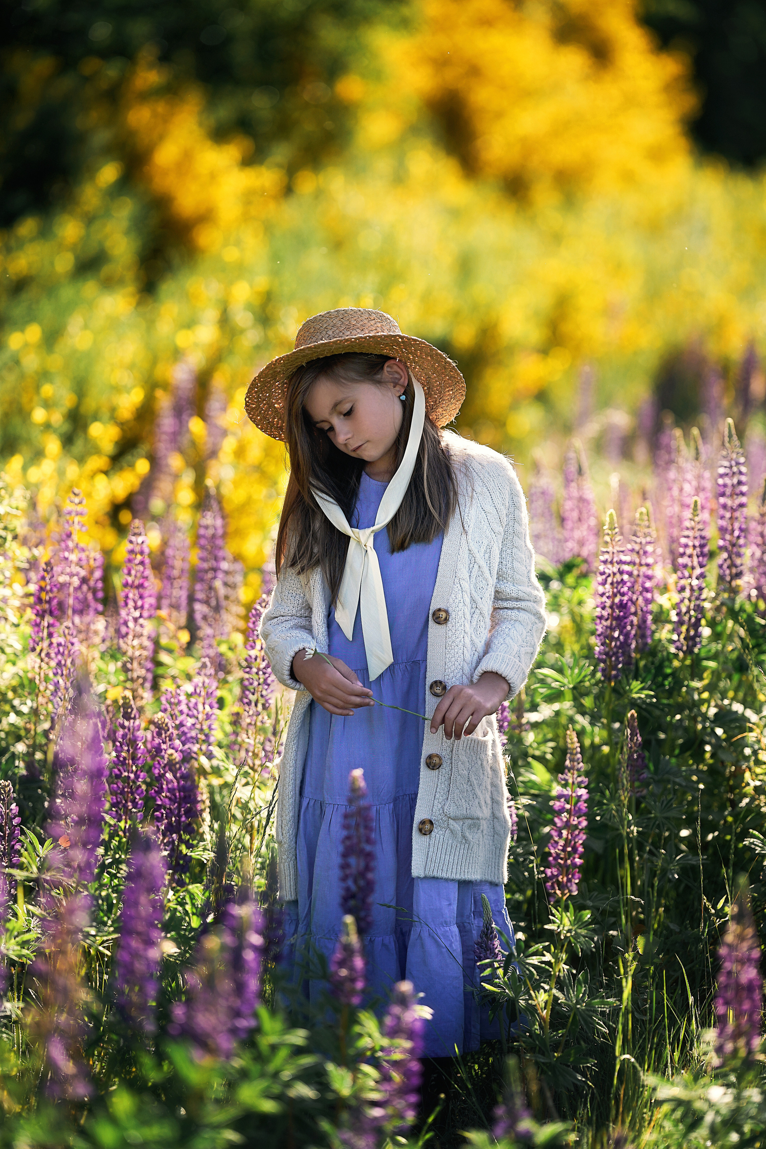 Дикие люпины. Семейный, детский и женский фотограф в Германии, Трире