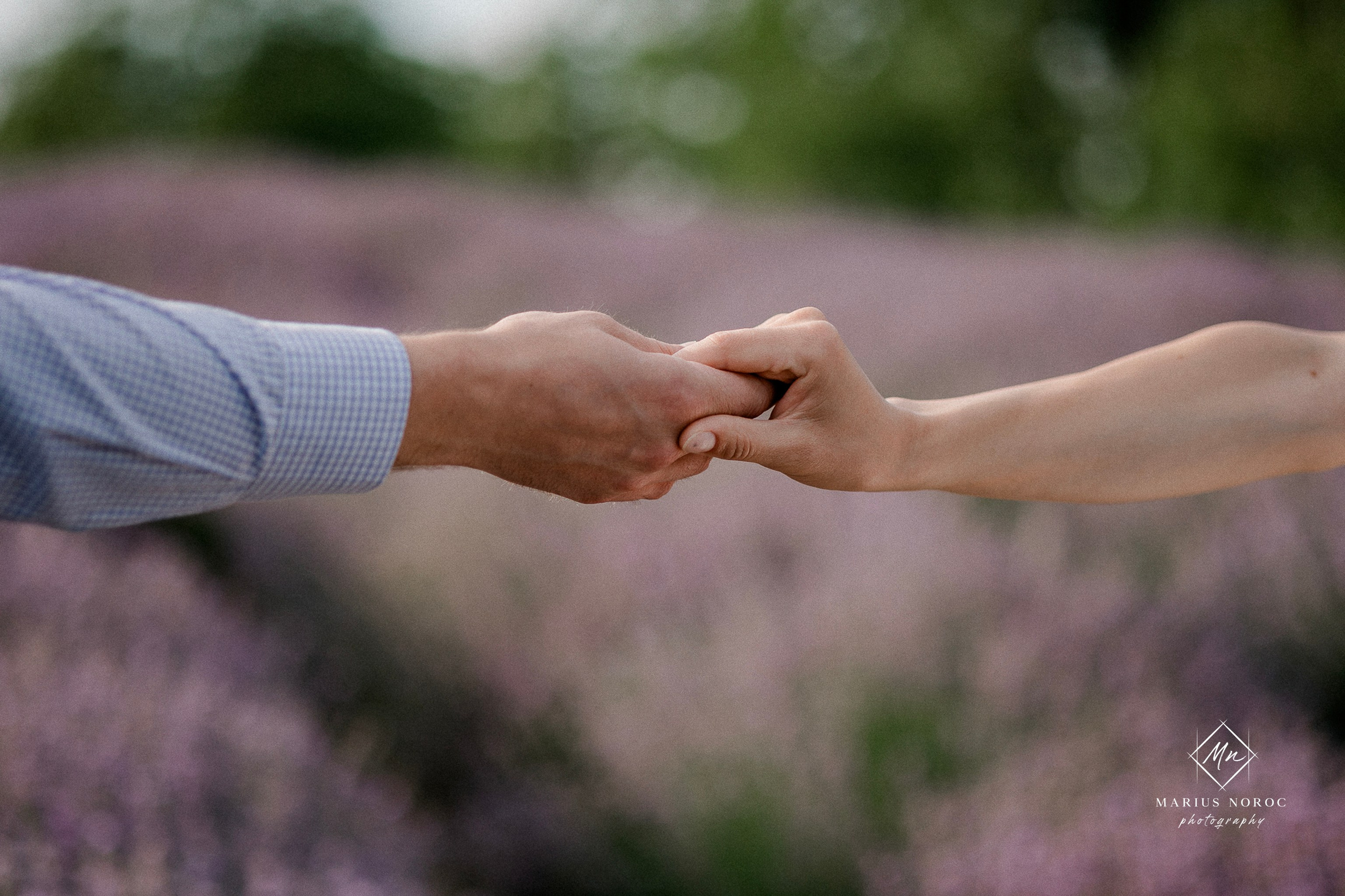 Ședință Foto Save the Date | Corina & Vasi | Ipotesti Lavender Farm