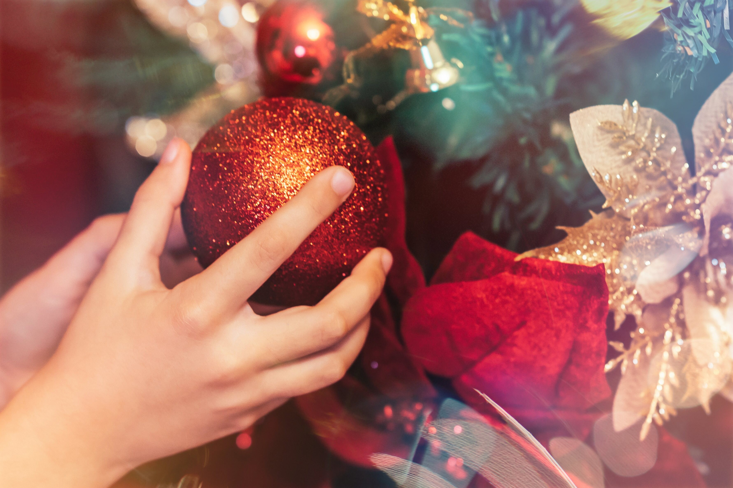 Sedinta Craciun Sofia