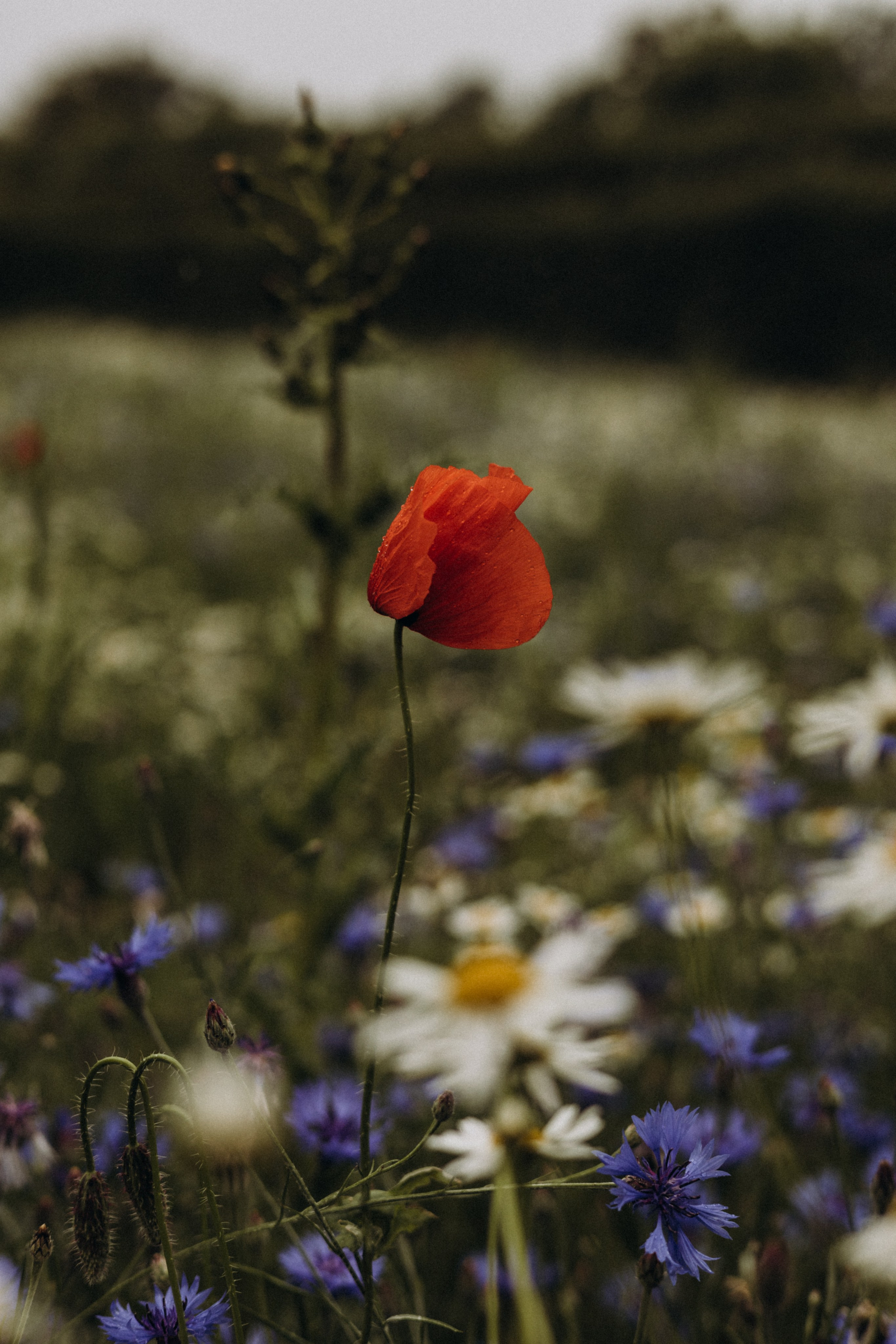 Sintija. Iryna Zhyvora | Photographer | Stockholm