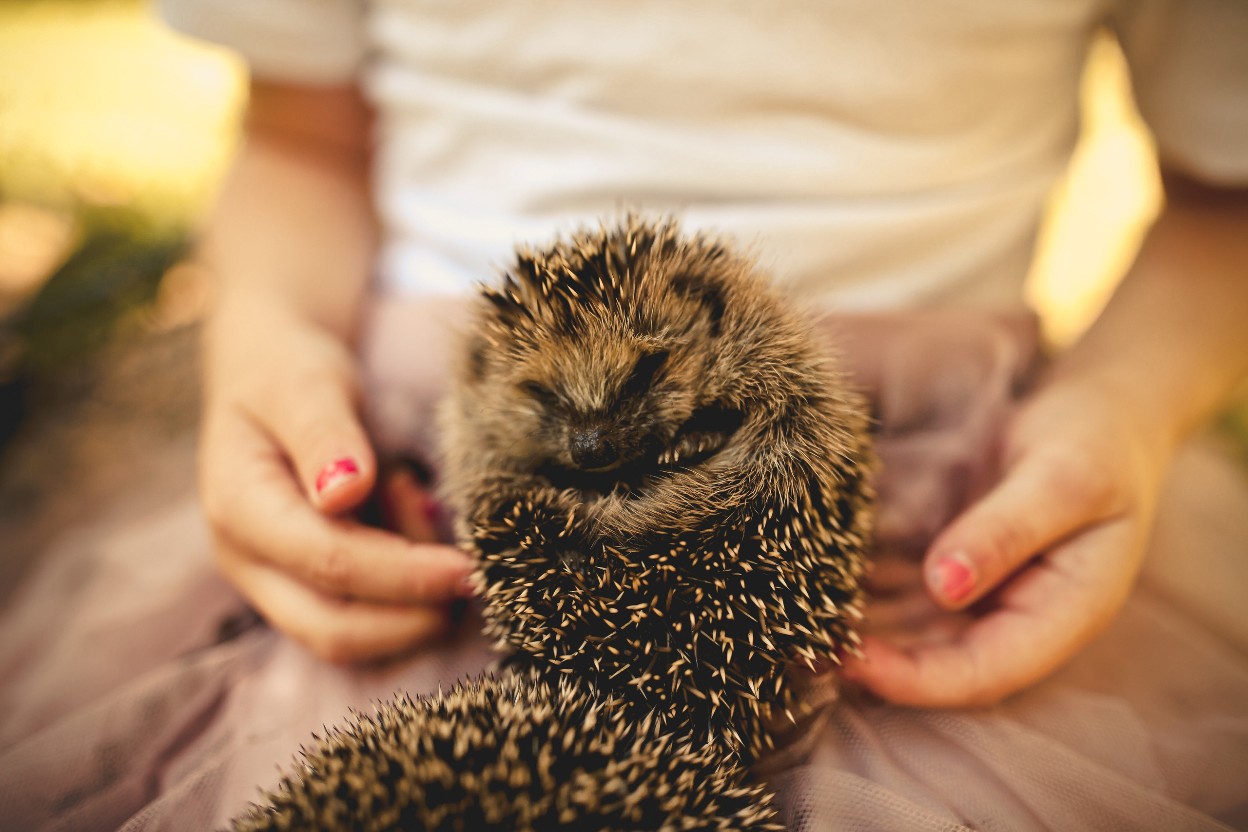 KINDERFOTOGRAFIE. Home