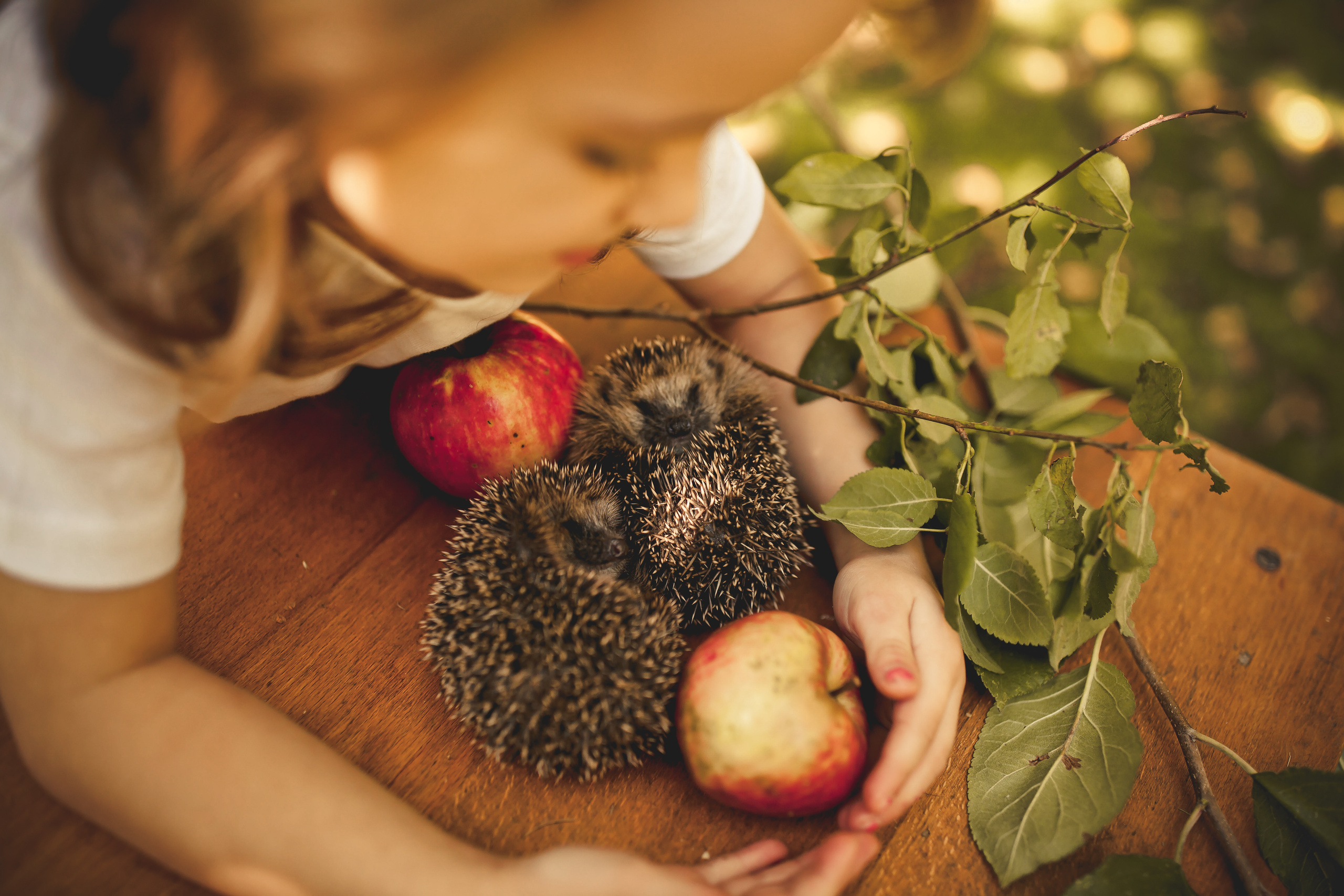 KINDERFOTOGRAFIE. Home