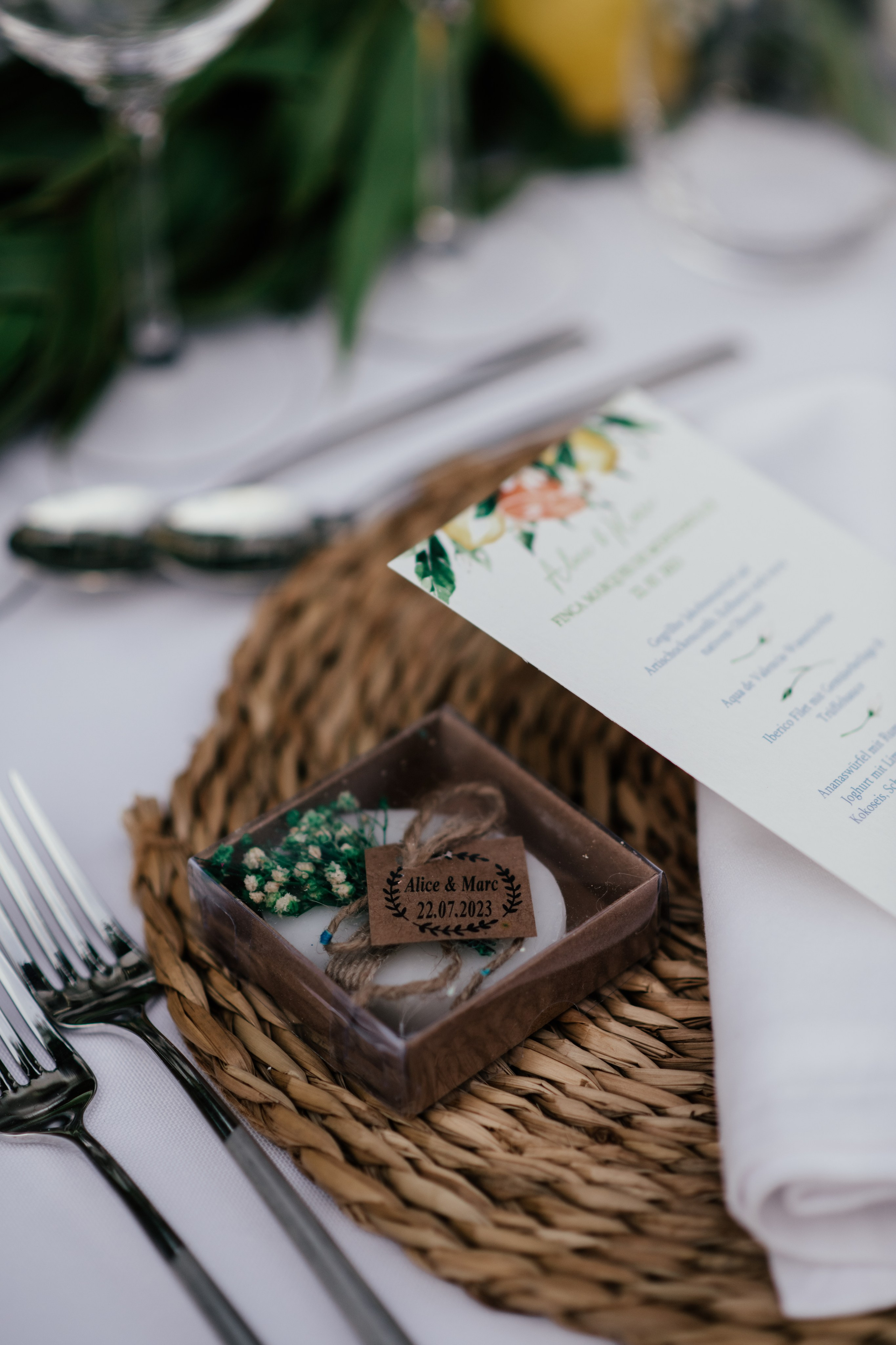 Alicia & Marc (Finca Marques de Montemolar)