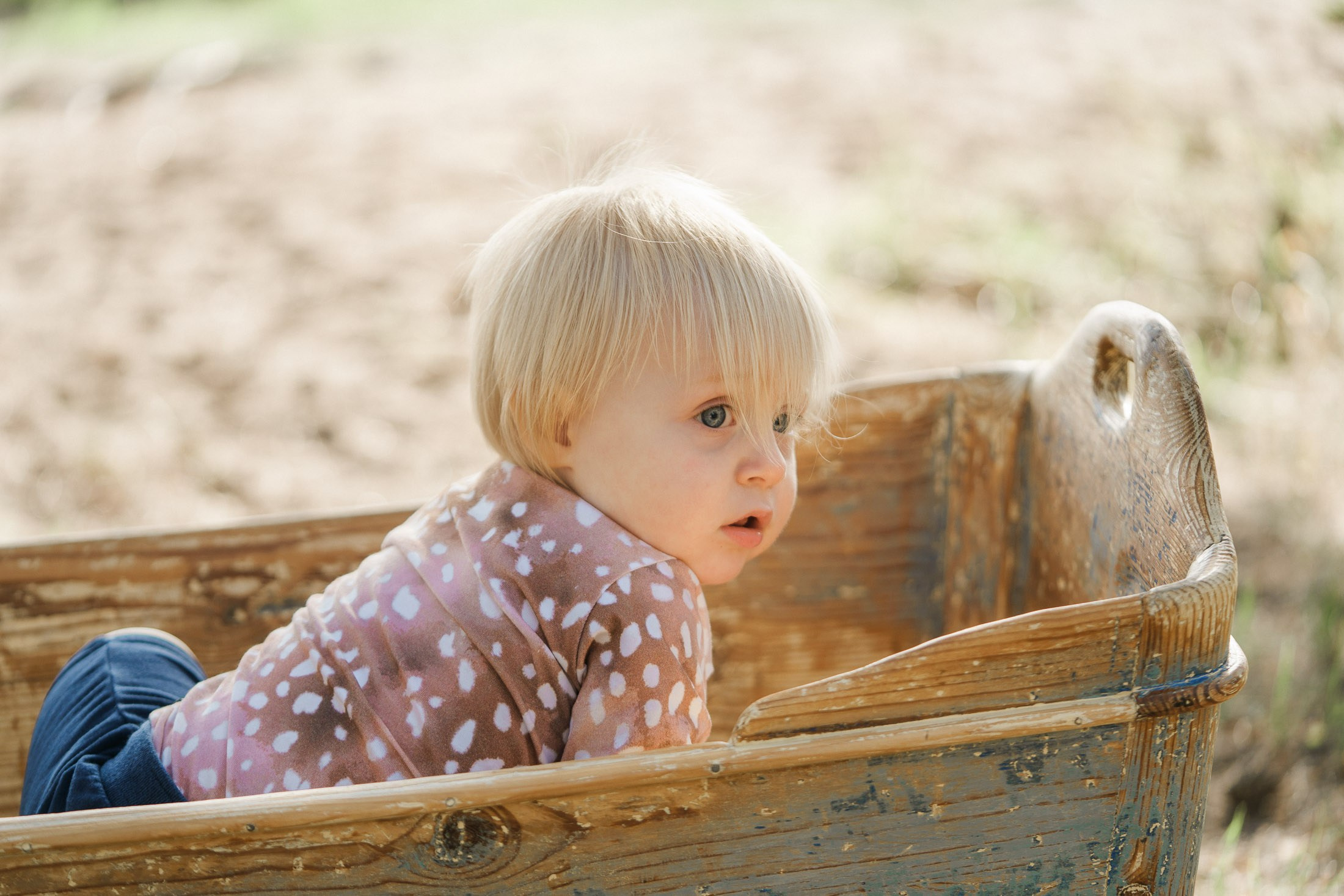 Perhekuvaus meren rannalla