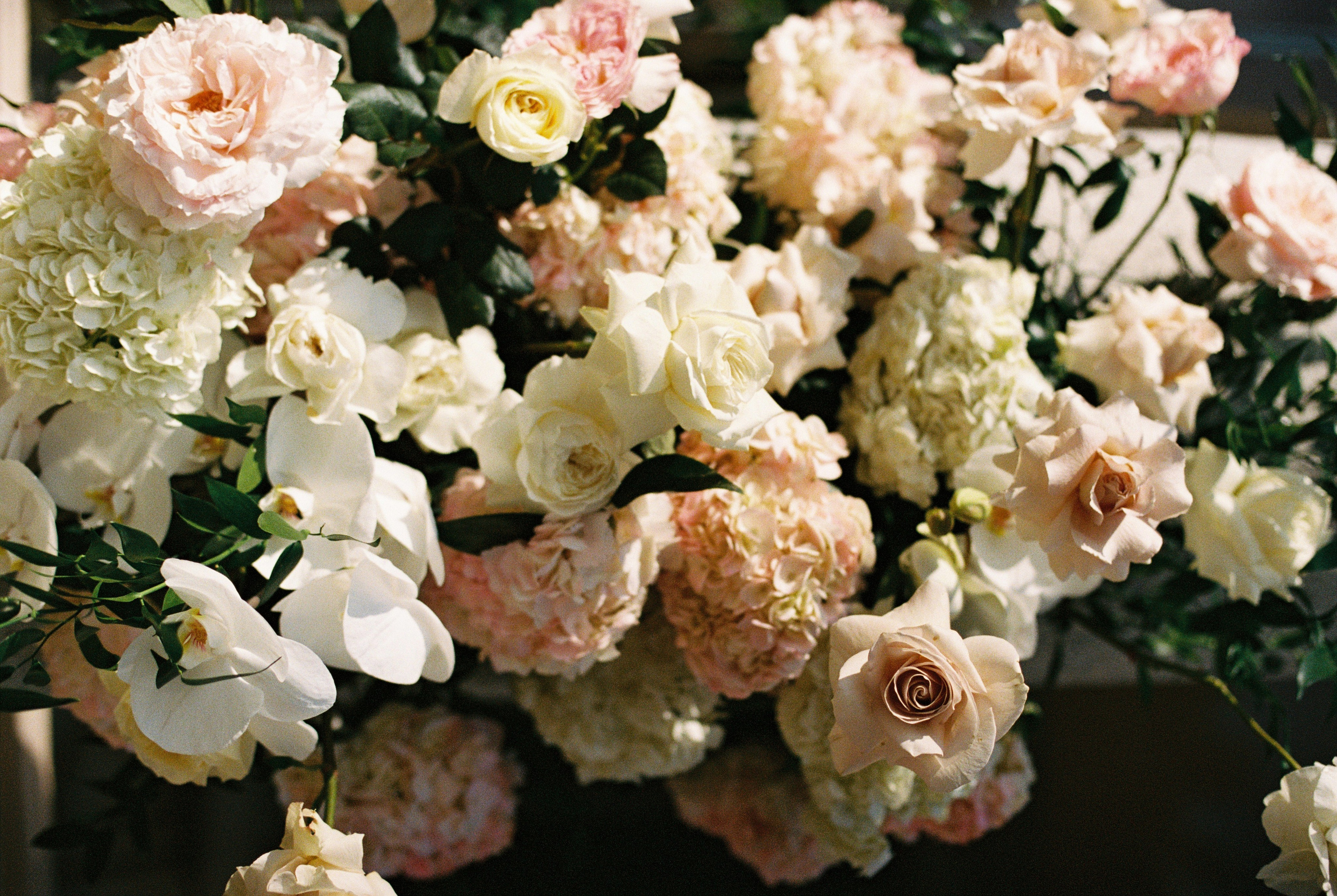 F I L M  P H O T O S