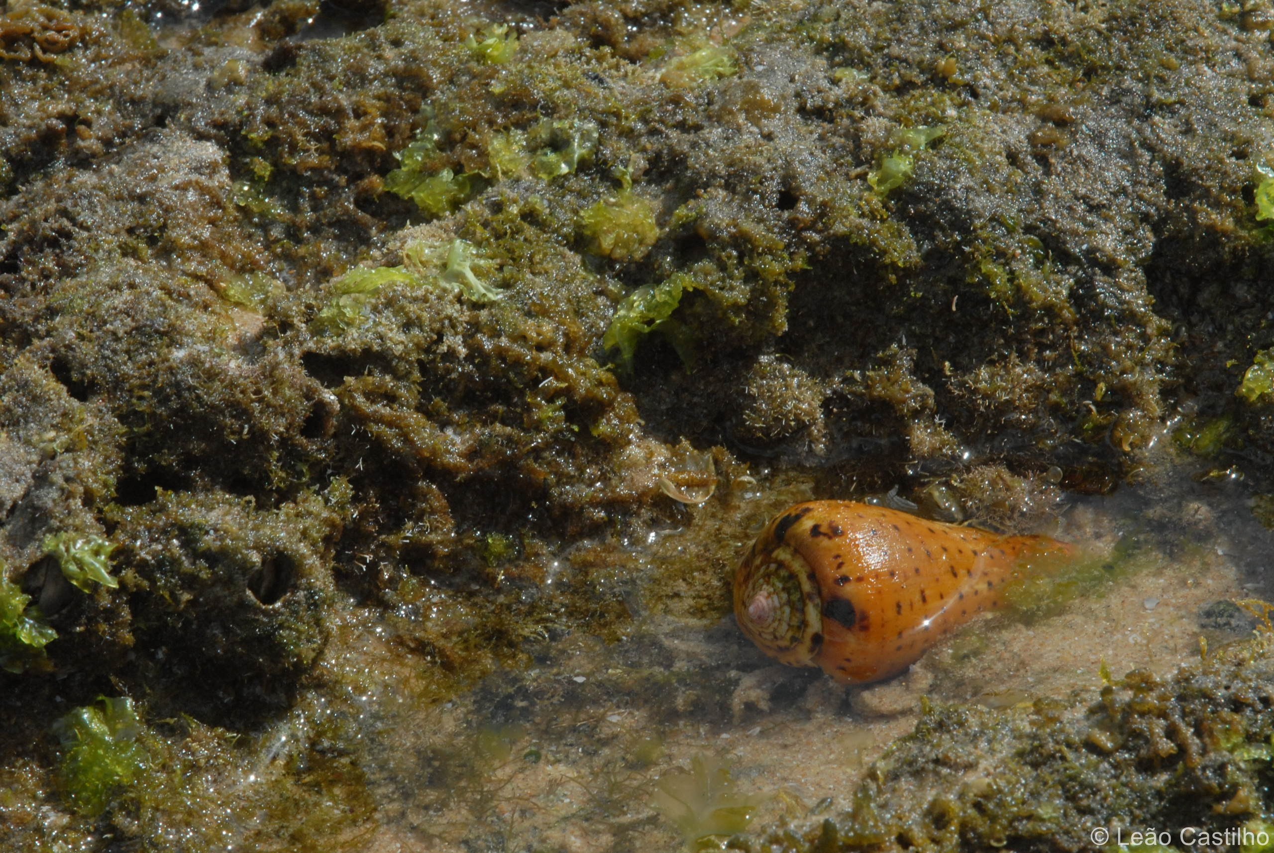 Photos from Mozambique. Simbahalu