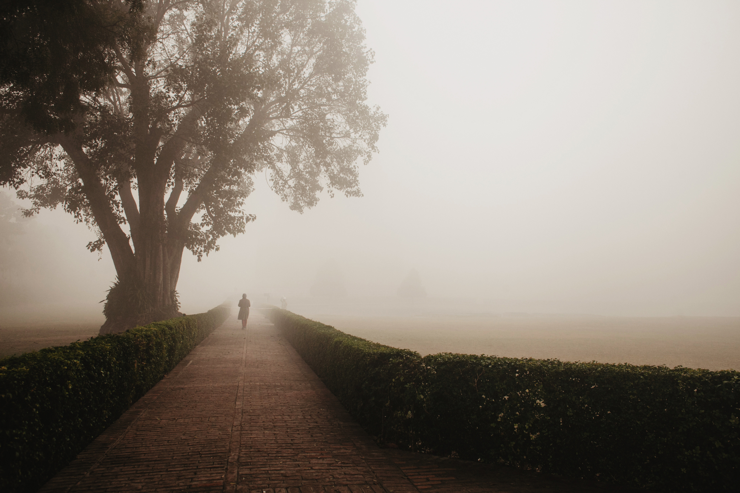 Стрит фотография из Варанаси. Photographer Anastasiya Dubrovina