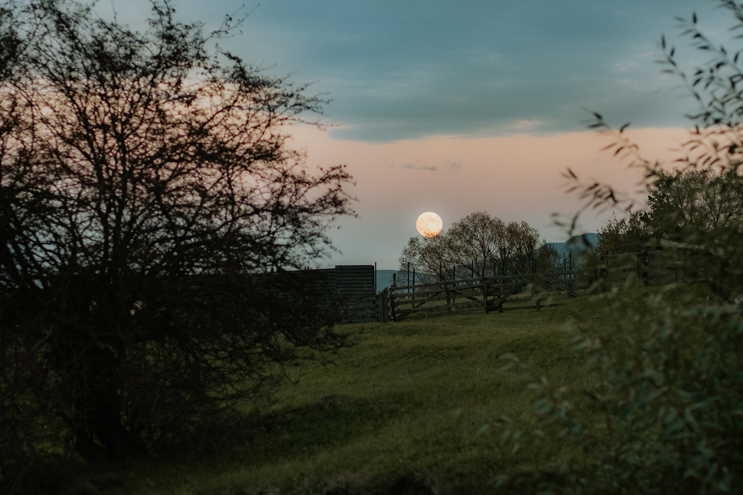 Razvan. Fotograf si videograf — evenimente si studio