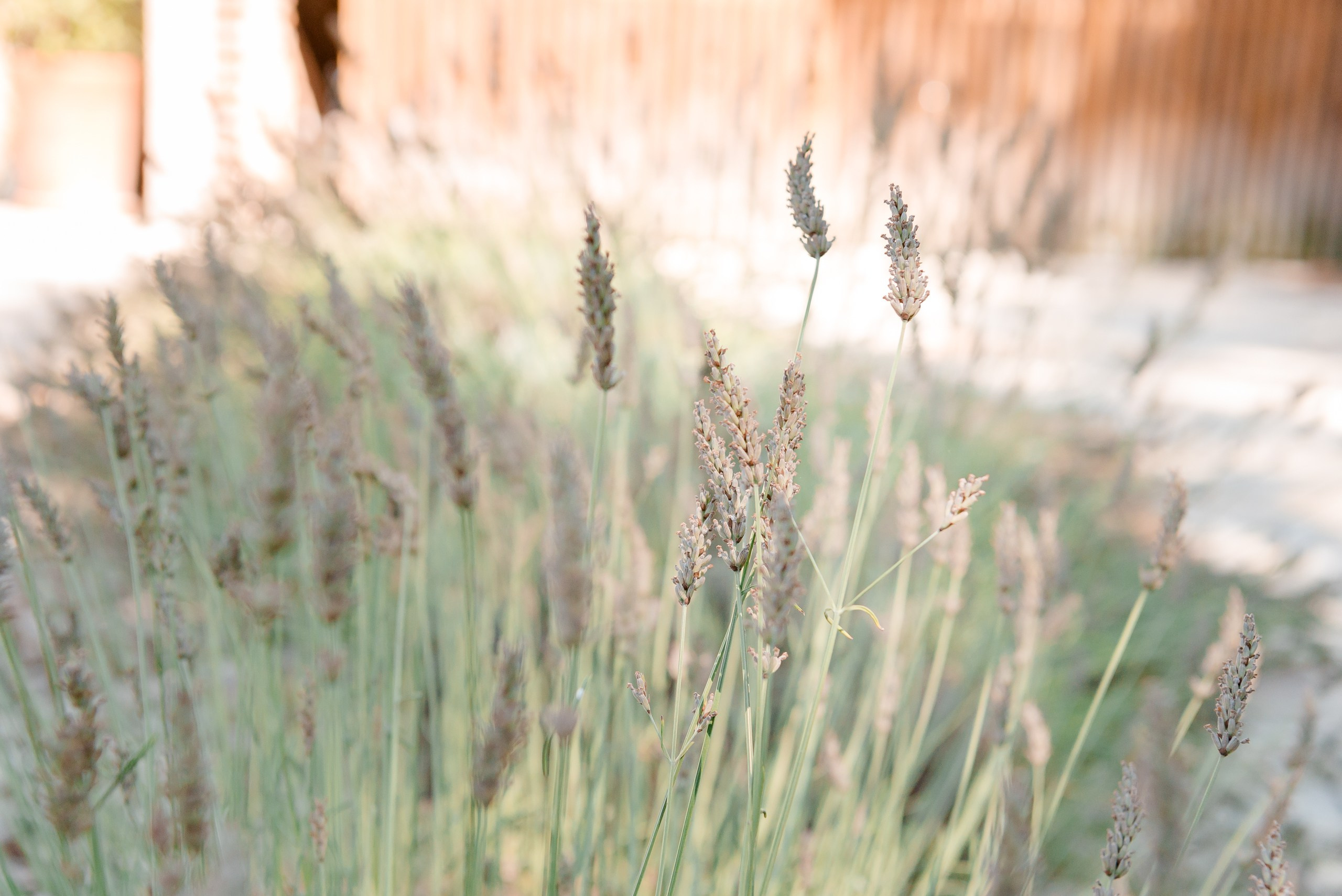 Vacaciones de verano en la provenca. Famila B. MARIA VALUEVA Fotógrafo en Niza, Cannes, Monaco, Francia, Europe, Estambul, Turquía