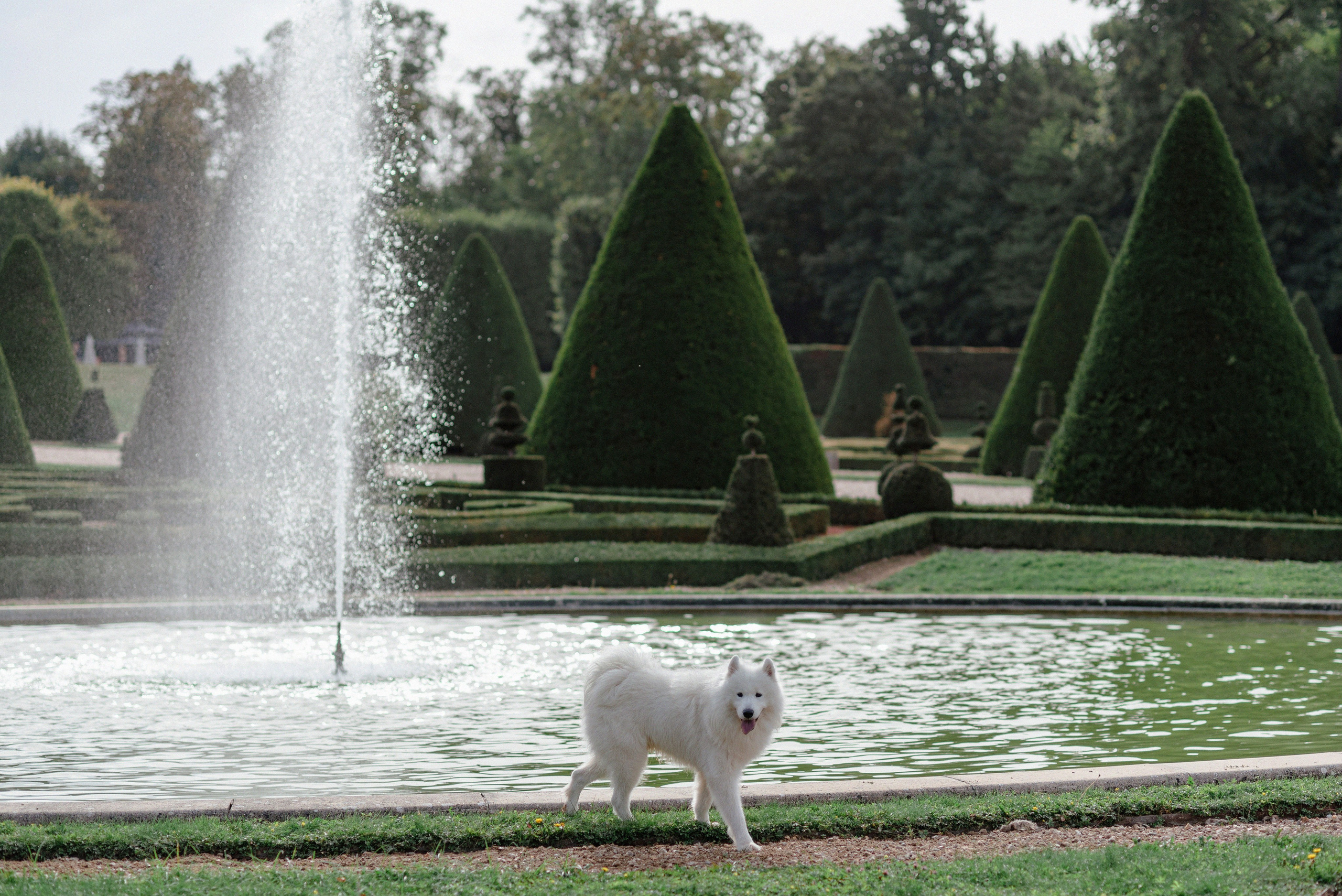 Autumn family photoshoot in a Parisian park. Ksenia Marchand/ Lifestyle photographer in Paris