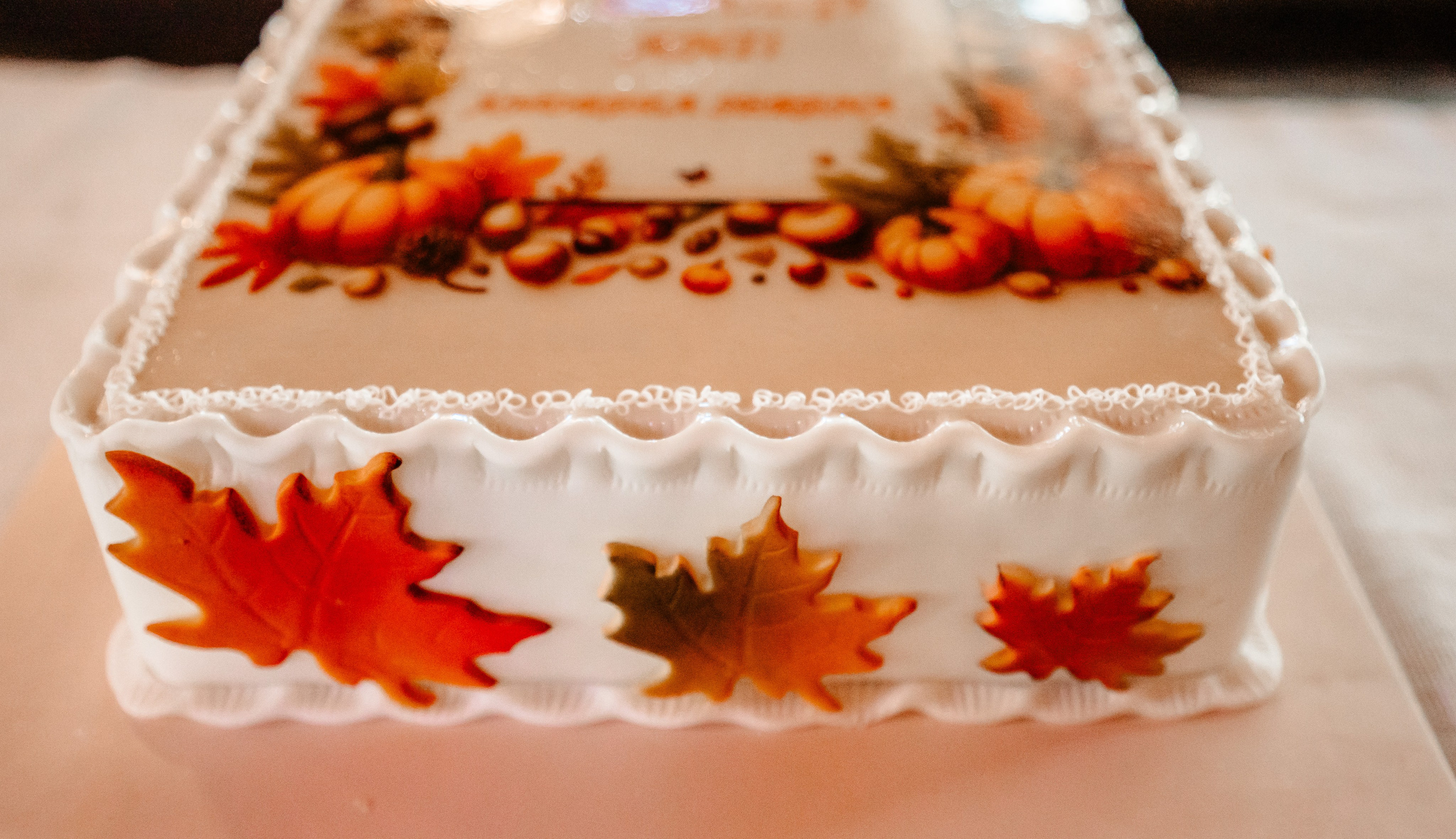 Fotograf turta Serena