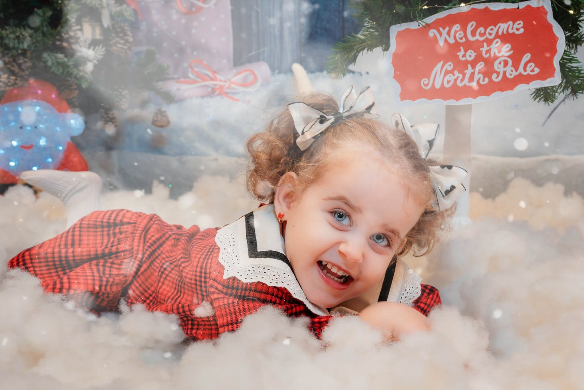 Sedinta Craciun Ioana