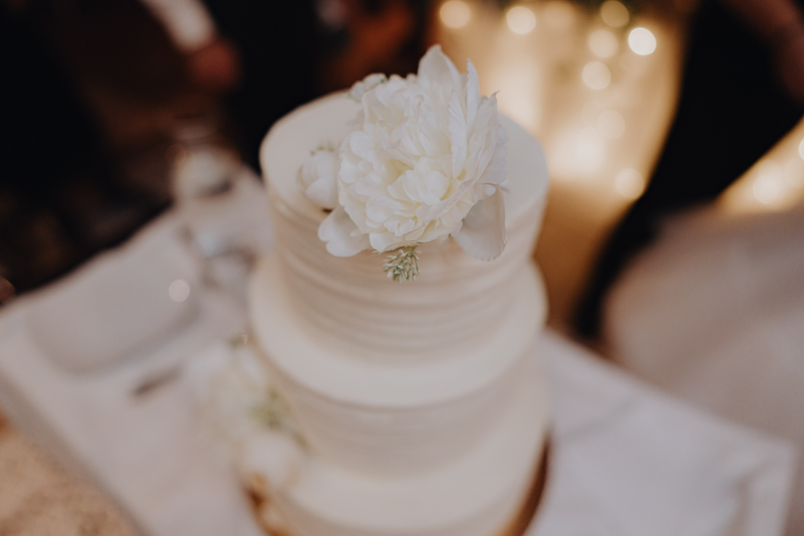 Elvira & Dino ⎸ Wedding in Sarajevo. Profesionalna Fotografija i Videografija | Sarajevo | yasinemir.com