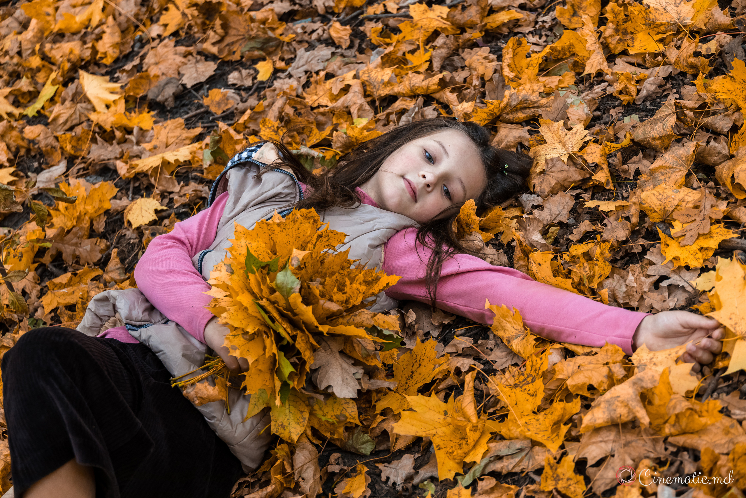 Toamna. ✔️ Servicii foto si video in Chisinau Moldova - Cinematic.md
