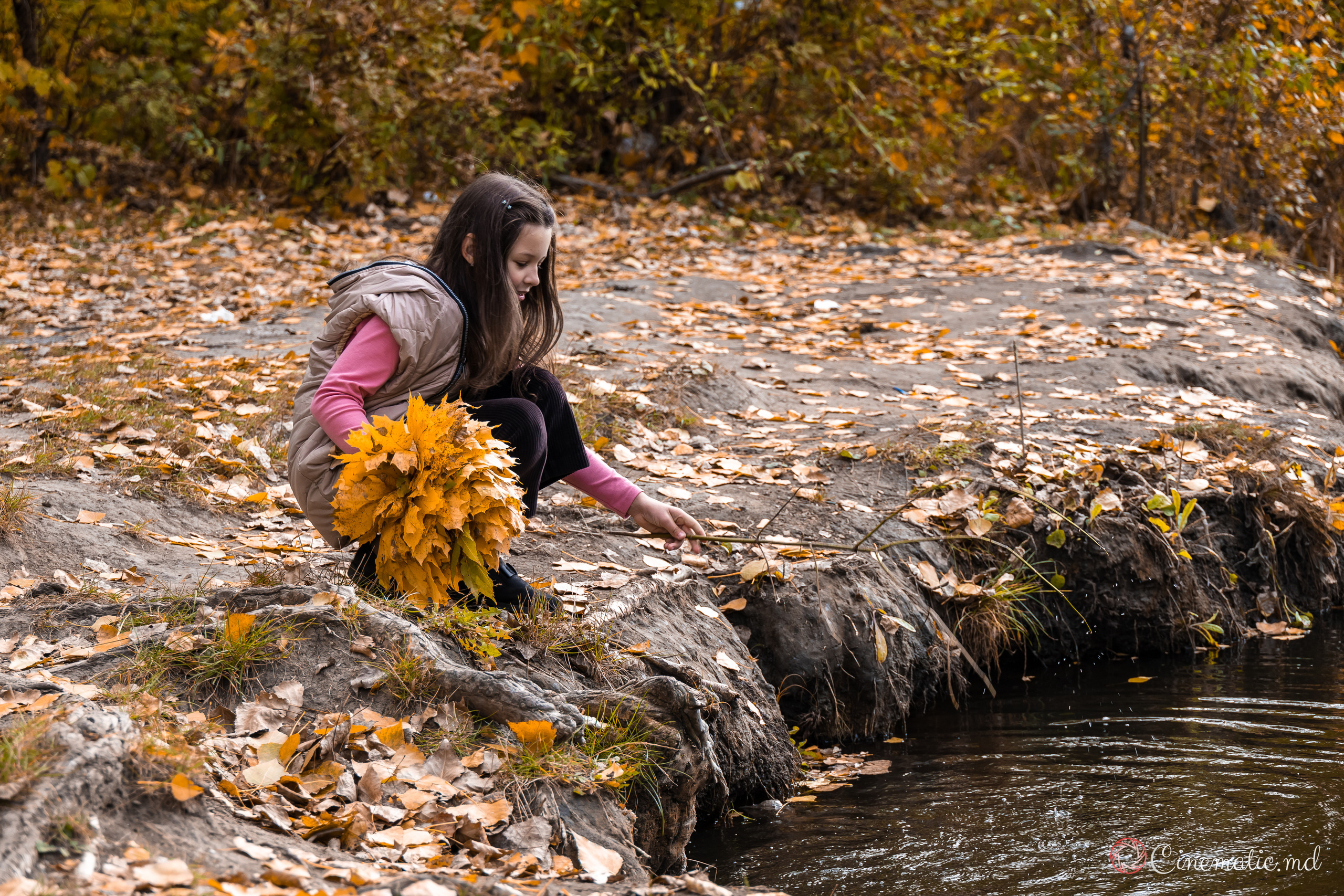 Toamna. ✔️ Servicii foto si video in Chisinau Moldova - Cinematic.md