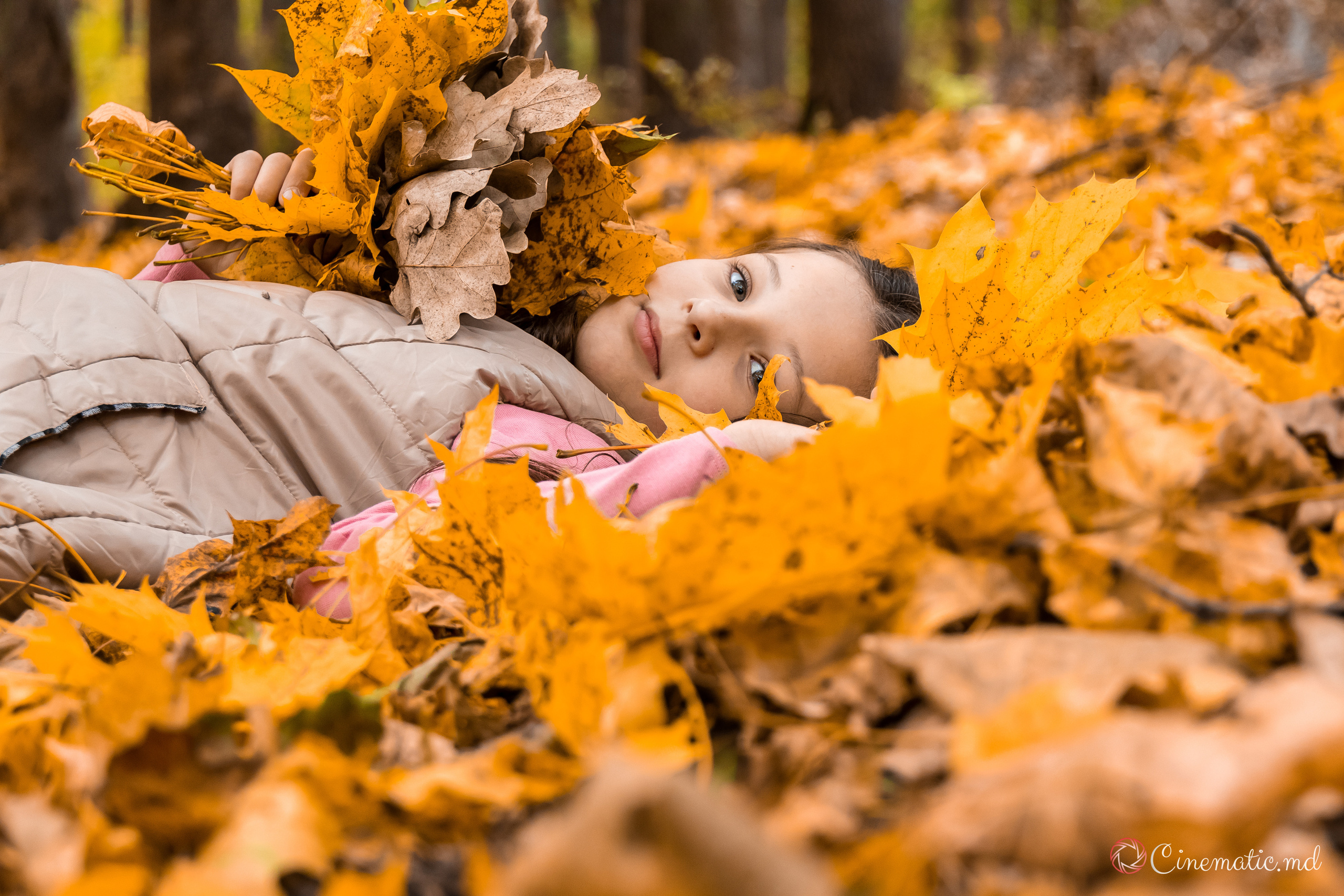 Toamna. ✔️ Servicii foto si video in Chisinau Moldova - Cinematic.md