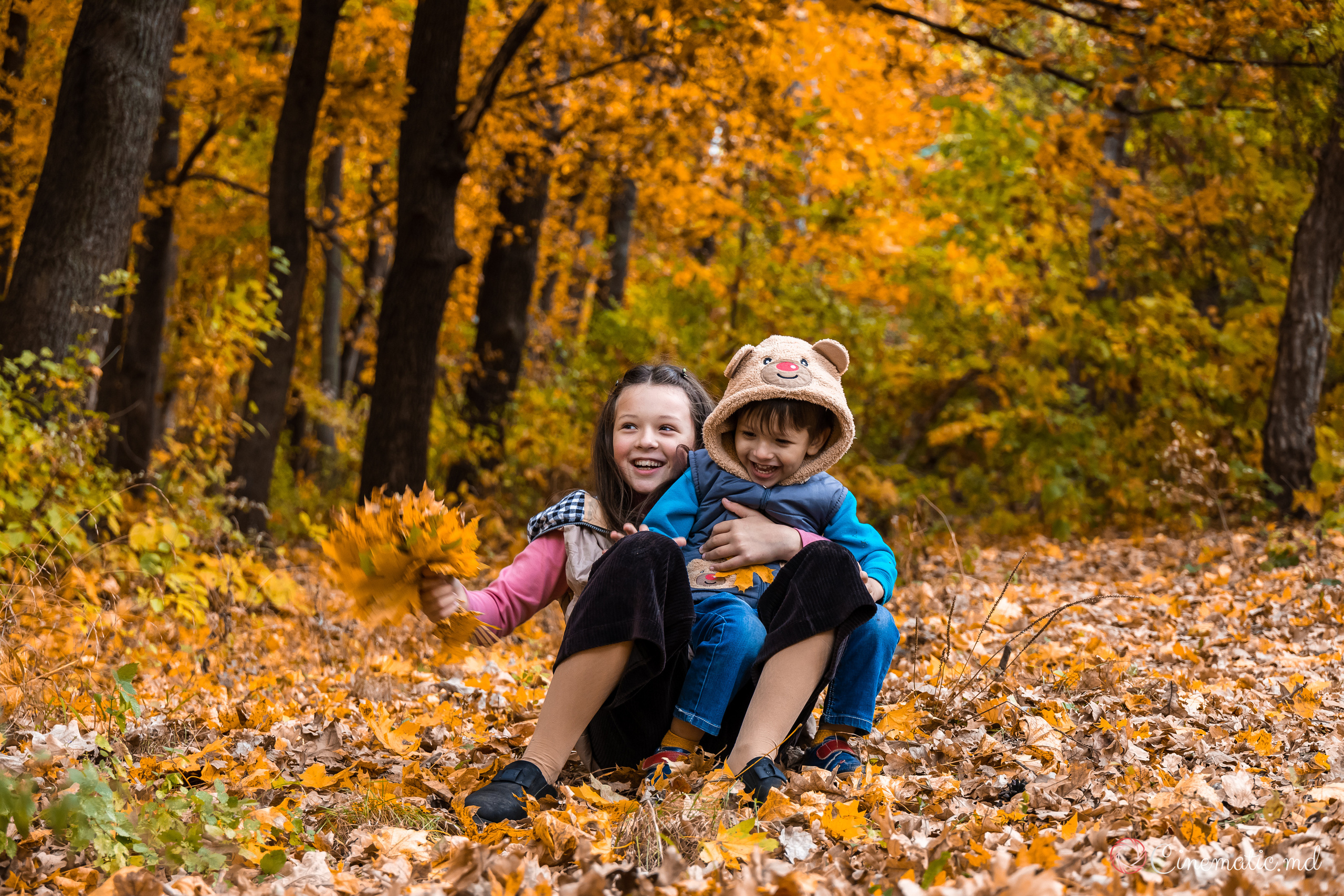 Toamna. ✔️ Servicii foto si video in Chisinau Moldova - Cinematic.md