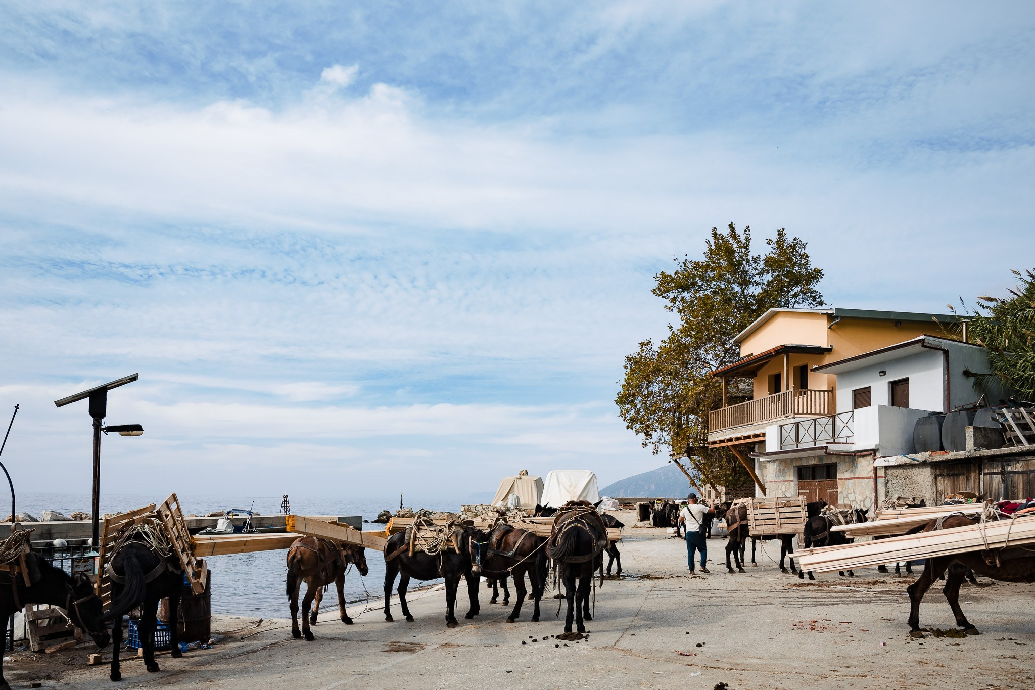 Pilgrim. Fotograf de nuntă Belgia - Stefan Bogdan | Fotograf roman