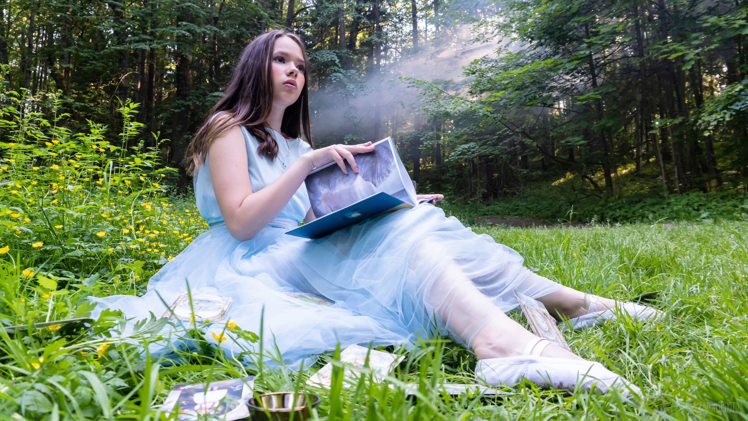 Alice In Wonderland. Main