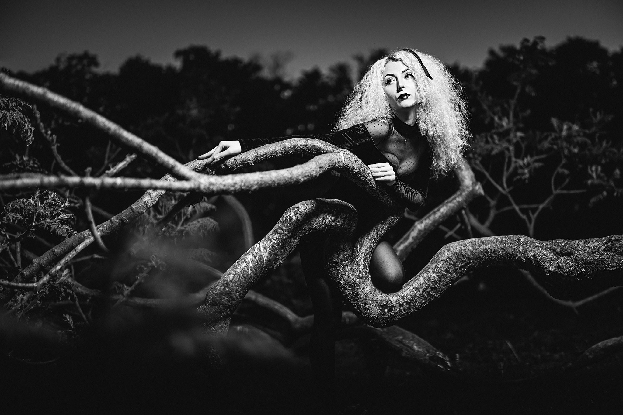 Portrait. Photography by Mircea Maieru