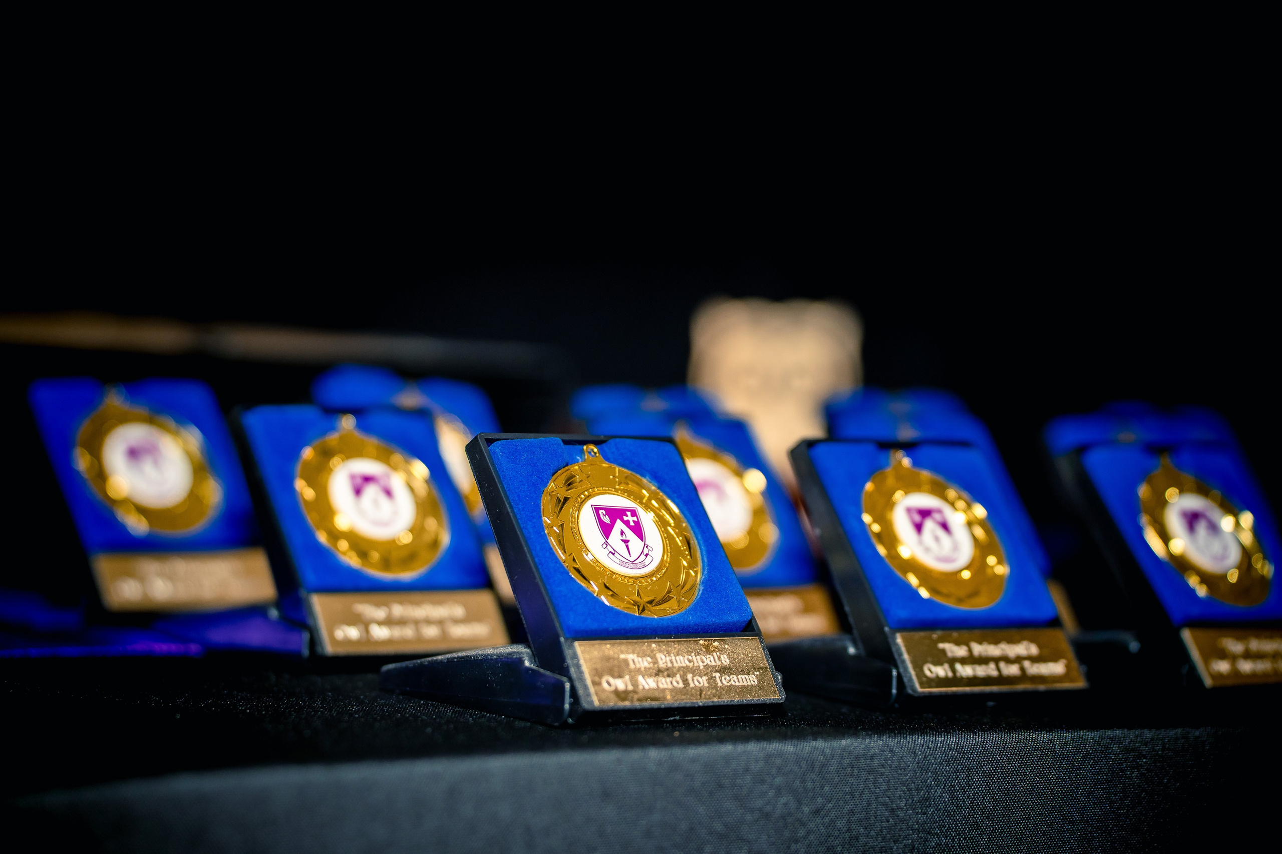 The Owl Society. Expect Miracles Photography by Kate & Andrew