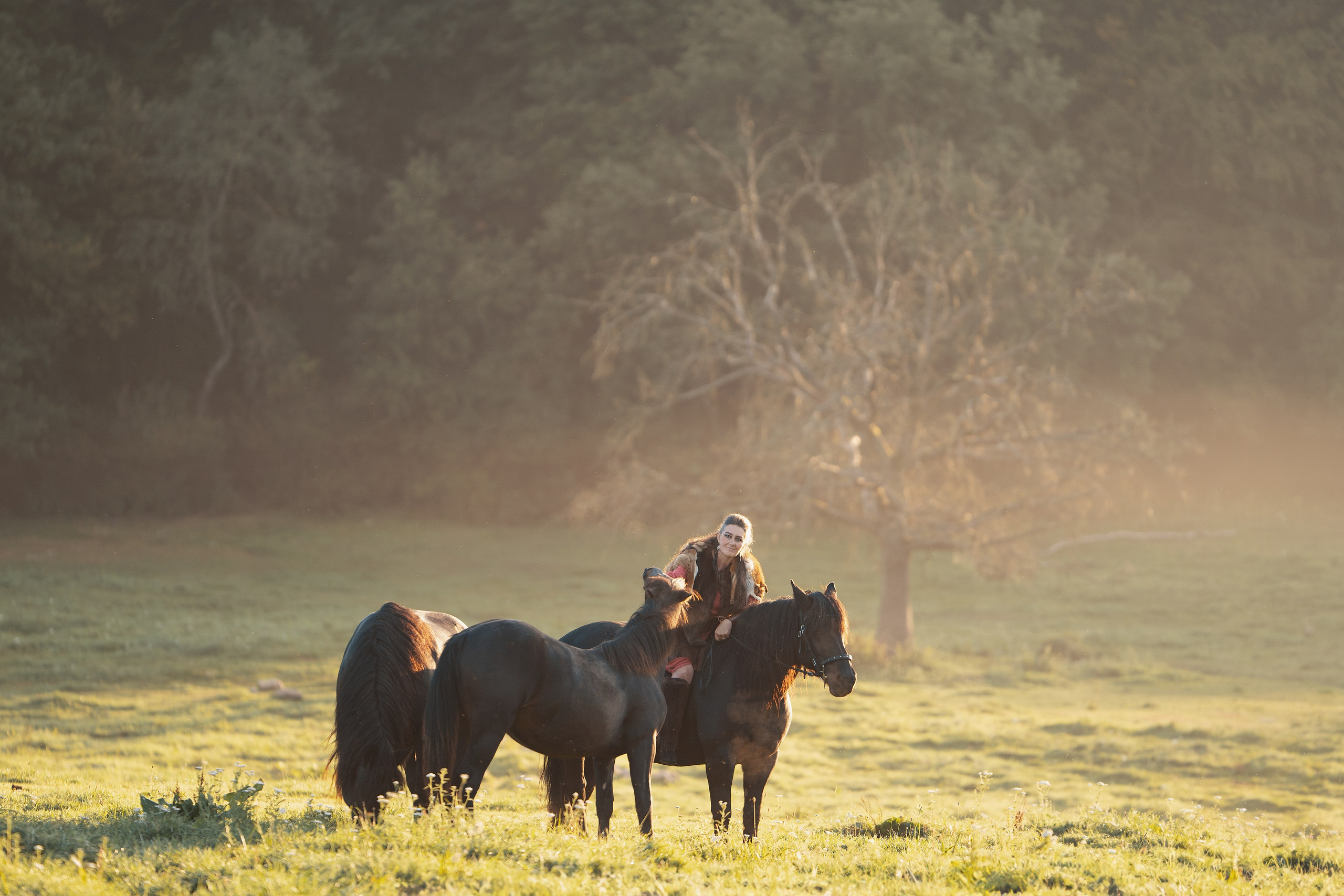Geschichten mit dem Pferden. Kinder und Familienfotografie Wittlich und Trier Umgebung