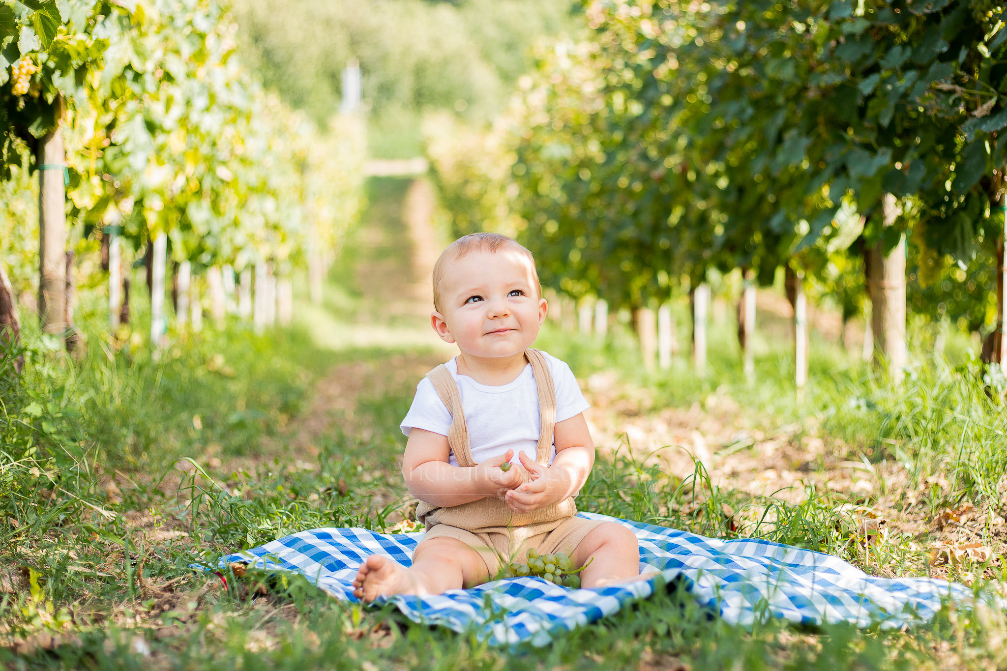 Andreina Noguera Photography