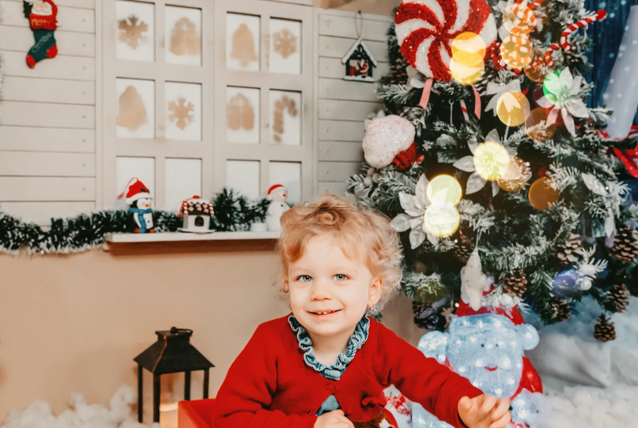 Sedinta Craciun Lucian