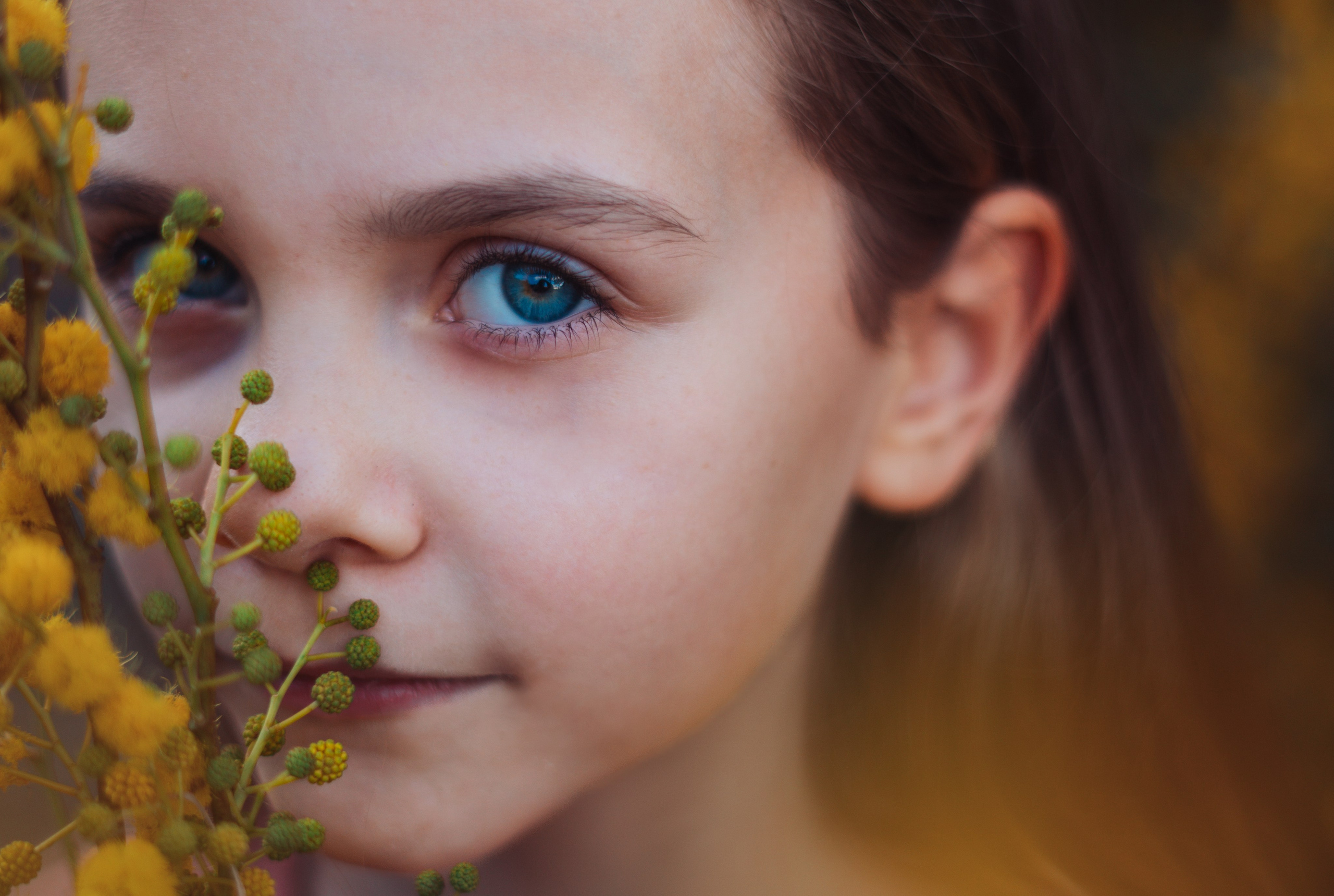Мимоза. Анастасия Благова — Твой фотограф в Малаге 🇪🇸