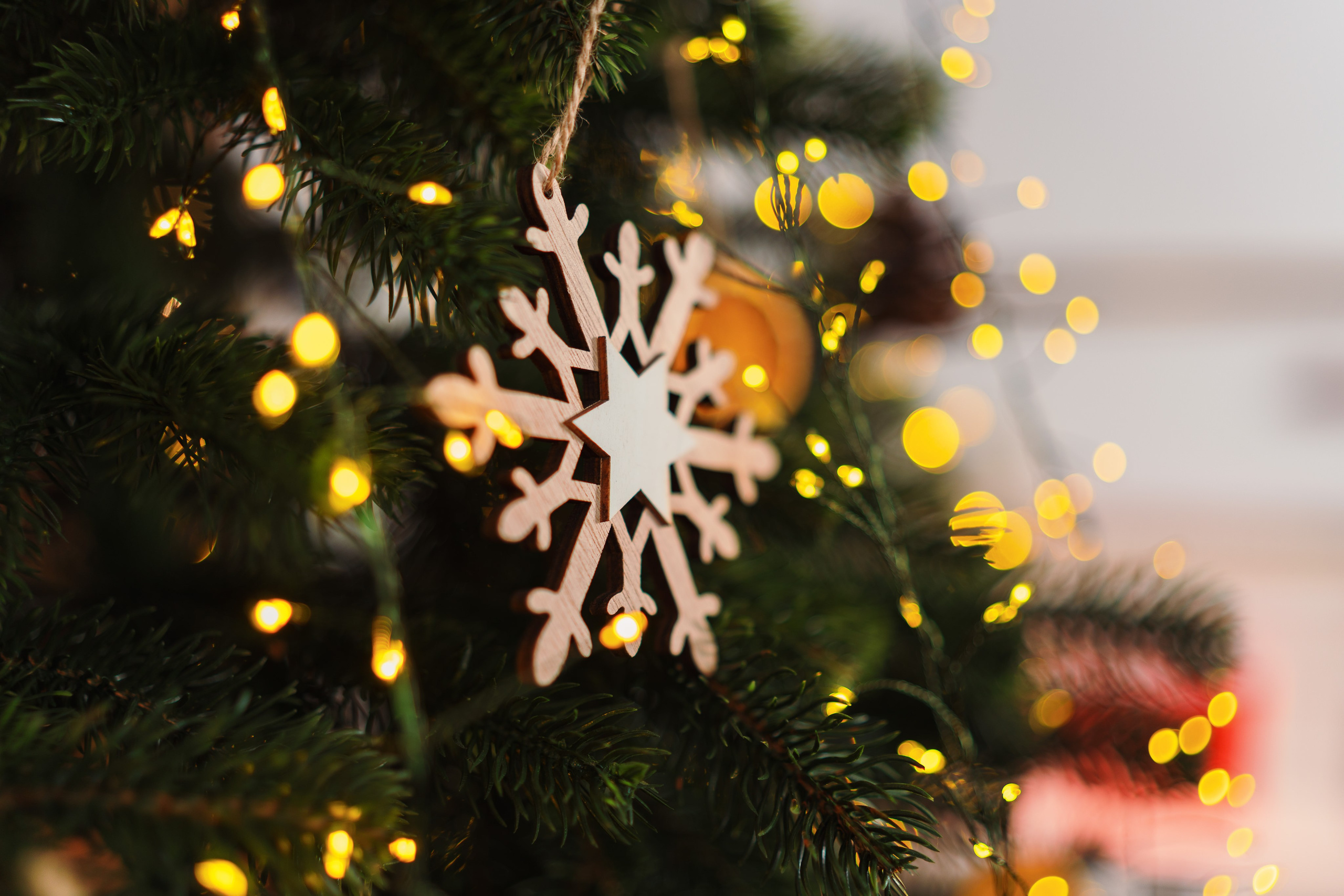 Decor Craciun 2023. Raw Studio. Fotograful tau de nunta!