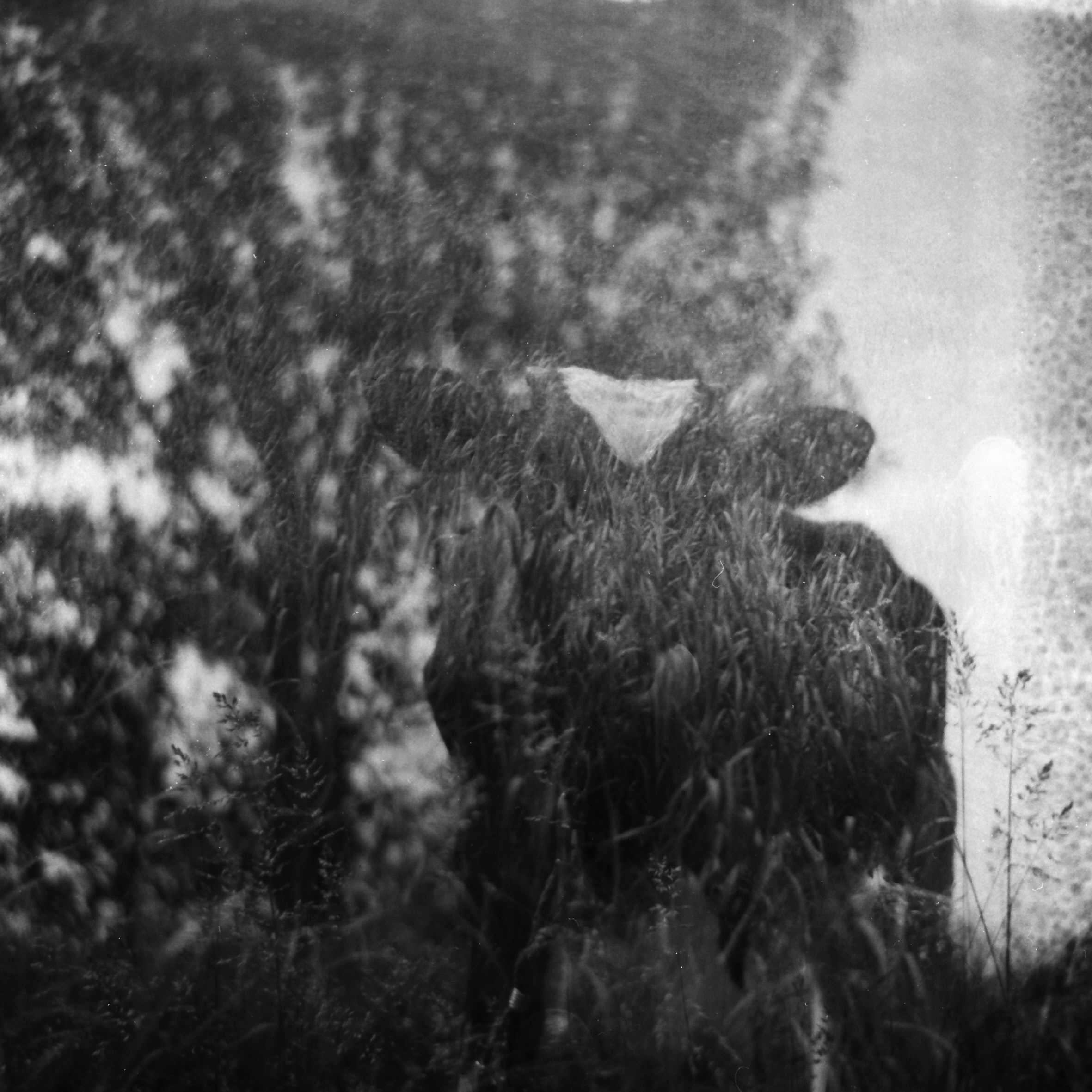 Tender Infinite Souls. Natalia Parfenova visual artist film photographer