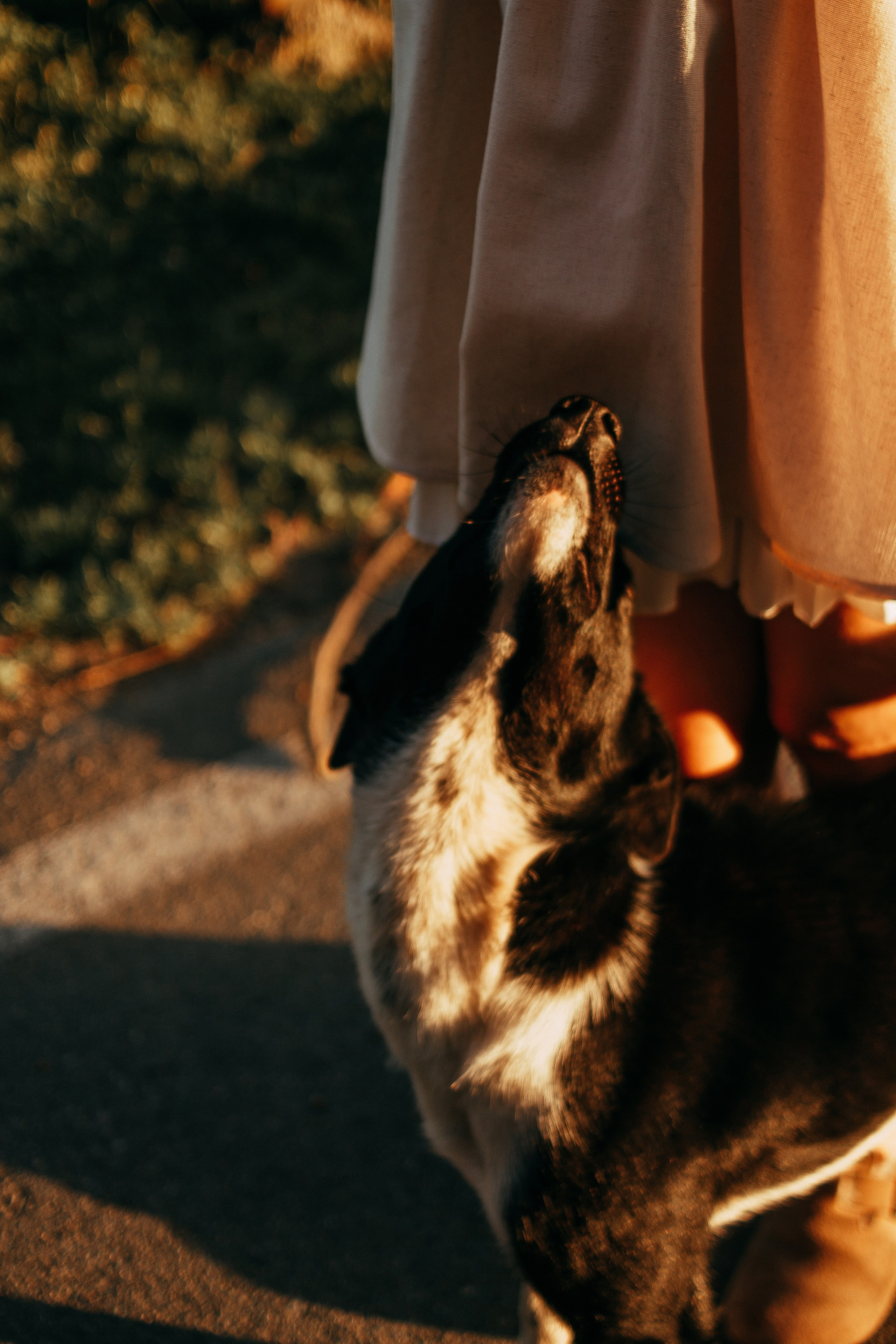 Ульяна. Свадебный и портретный фотограф в Белграде Екатерина Македонская