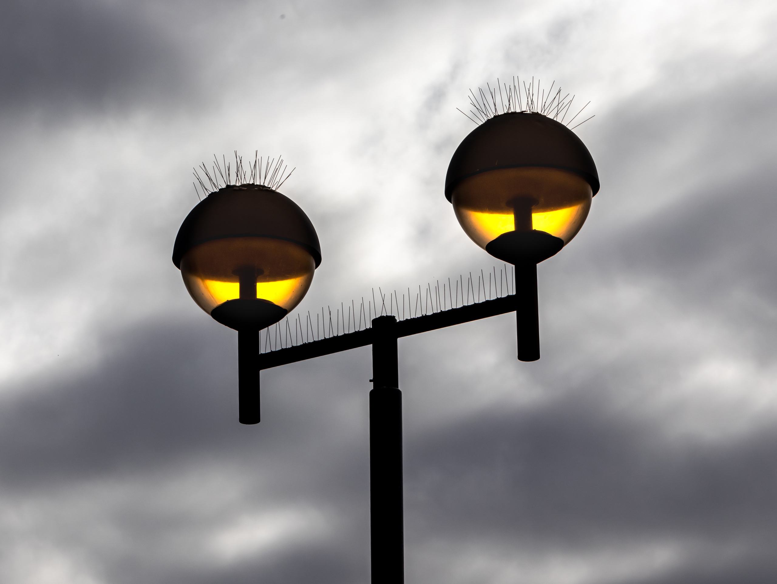 Out and About. Sam Jobi Media