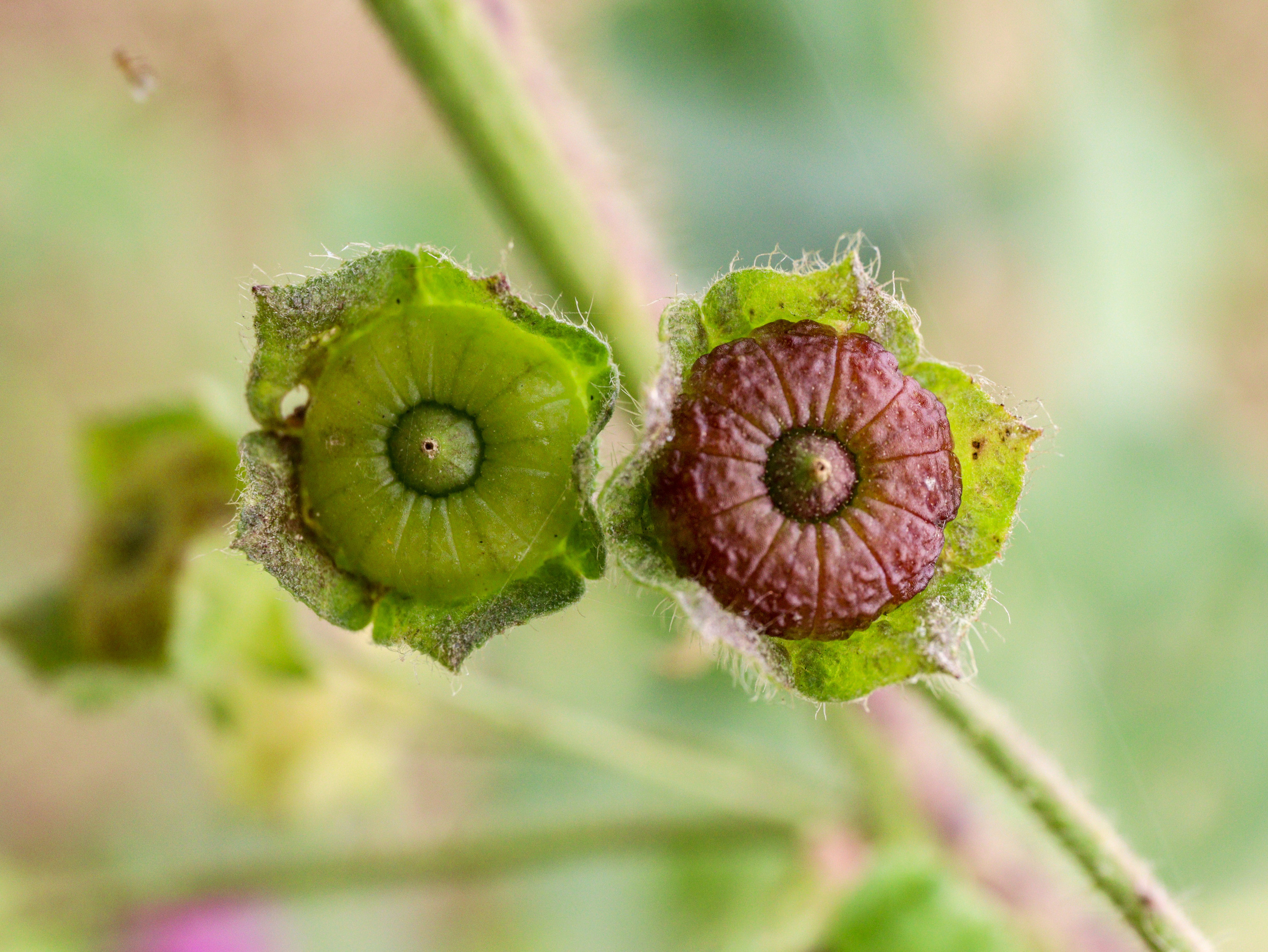 Out and About. Sam Jobi Media