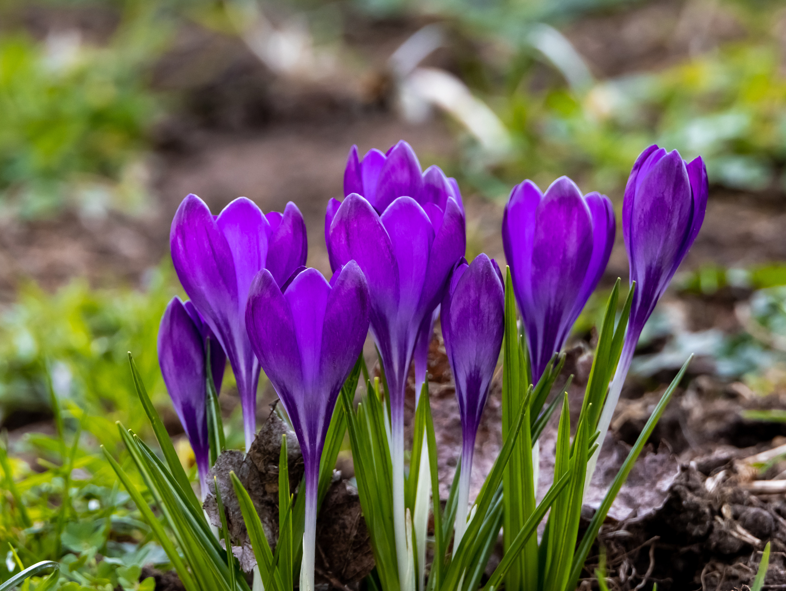 Out and About. Sam Jobi Media