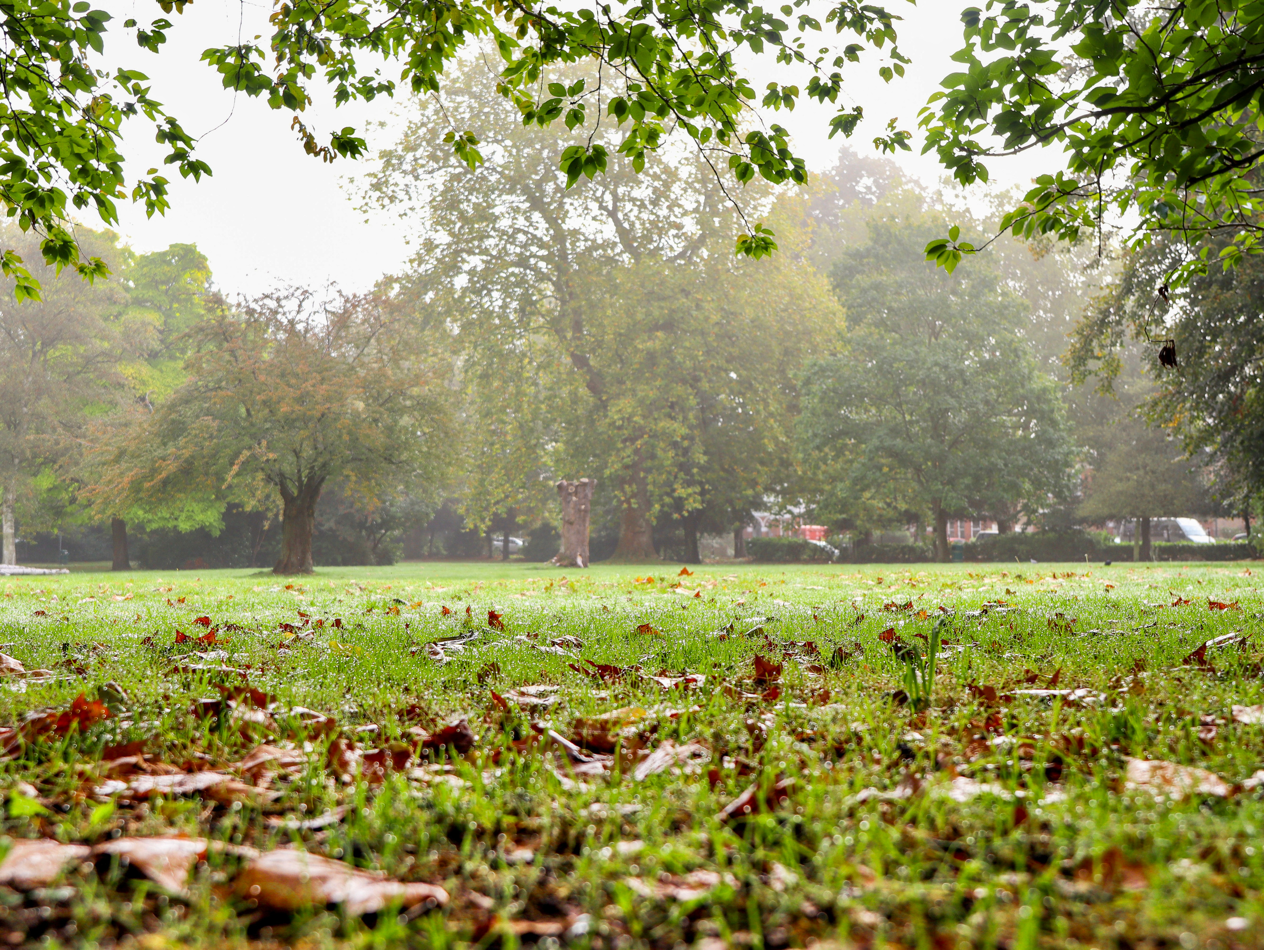 Out and About. Sam Jobi Media