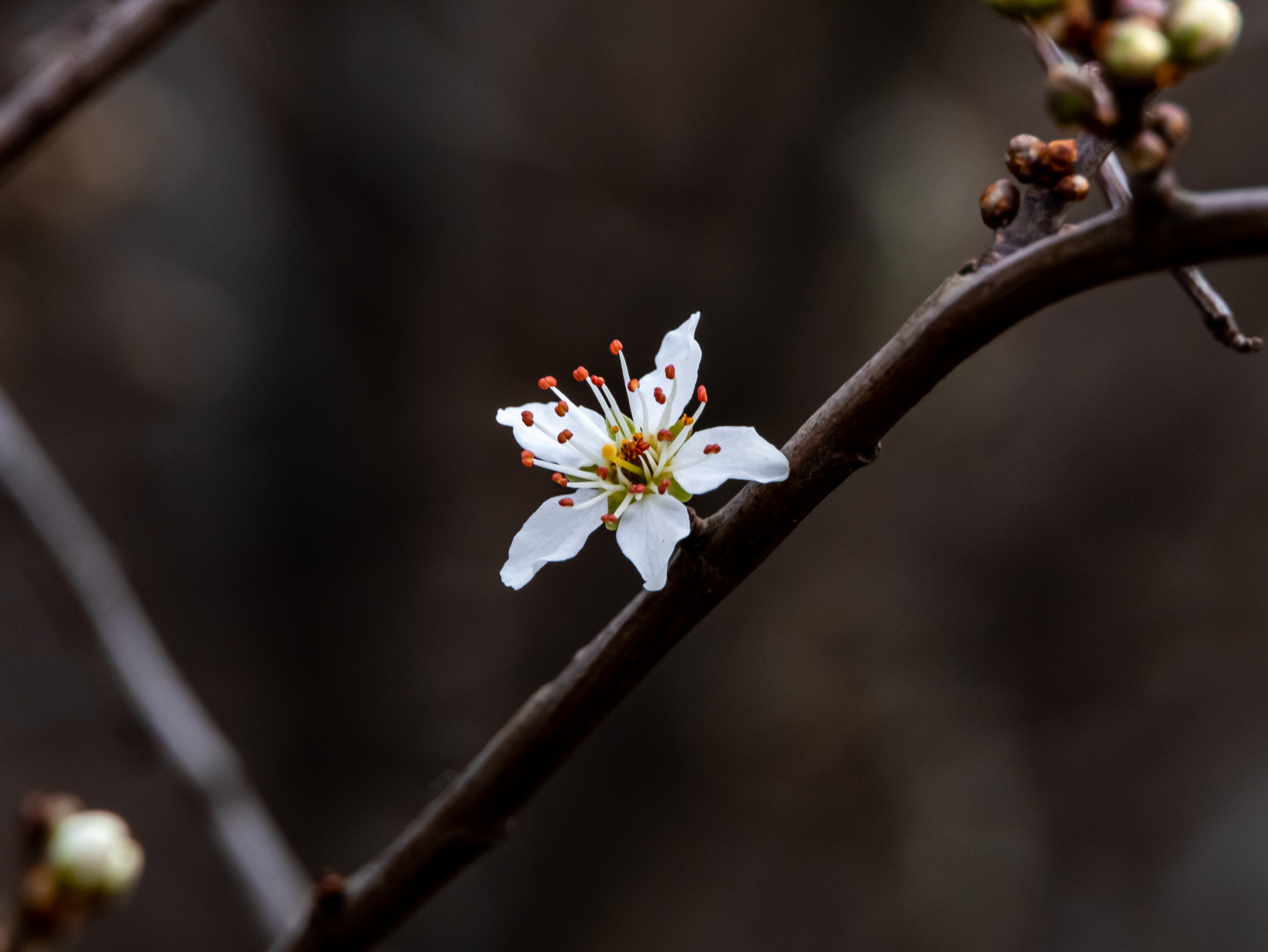 Out and About. Sam Jobi Media