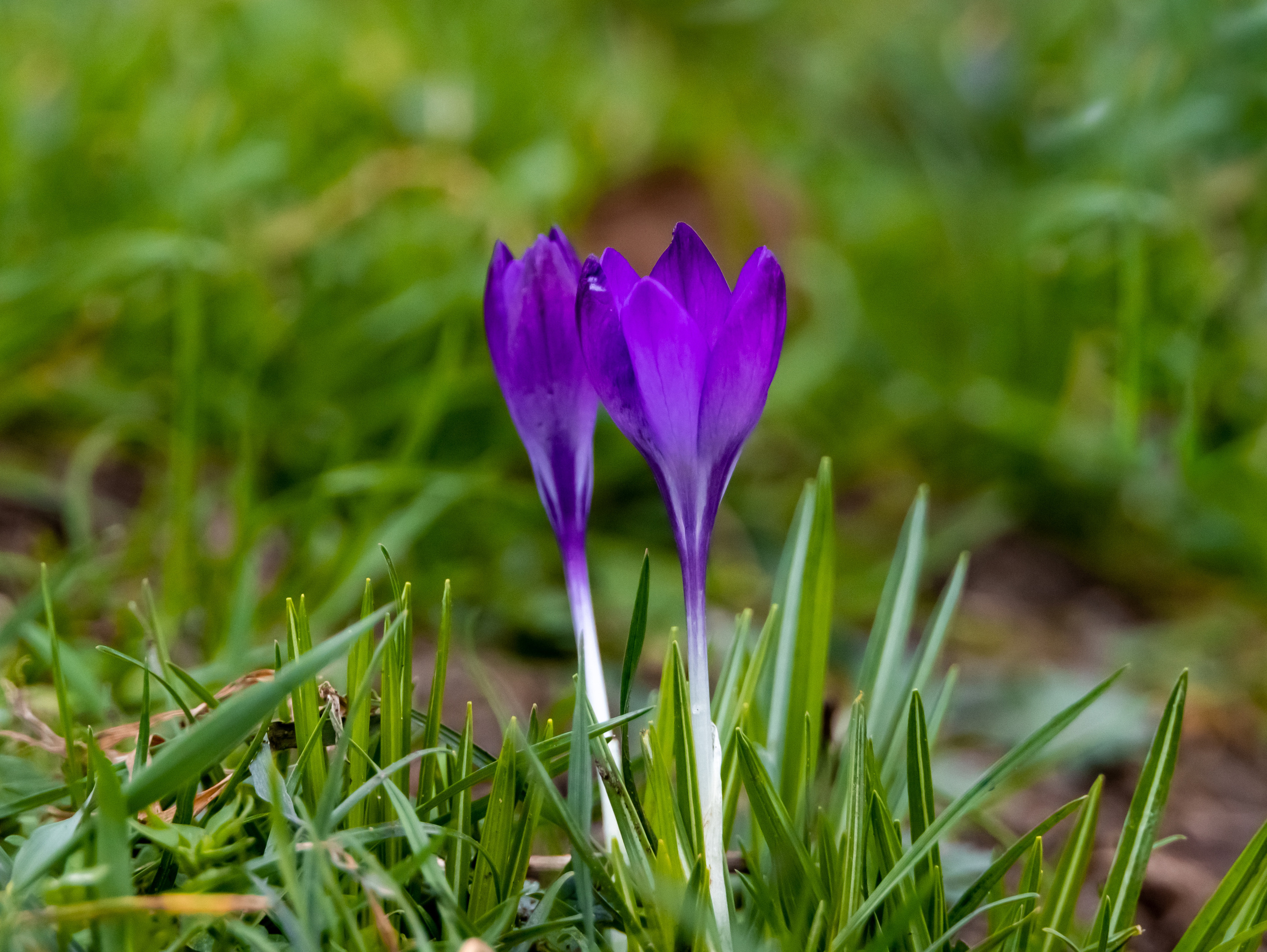 Out and About. Sam Jobi Media