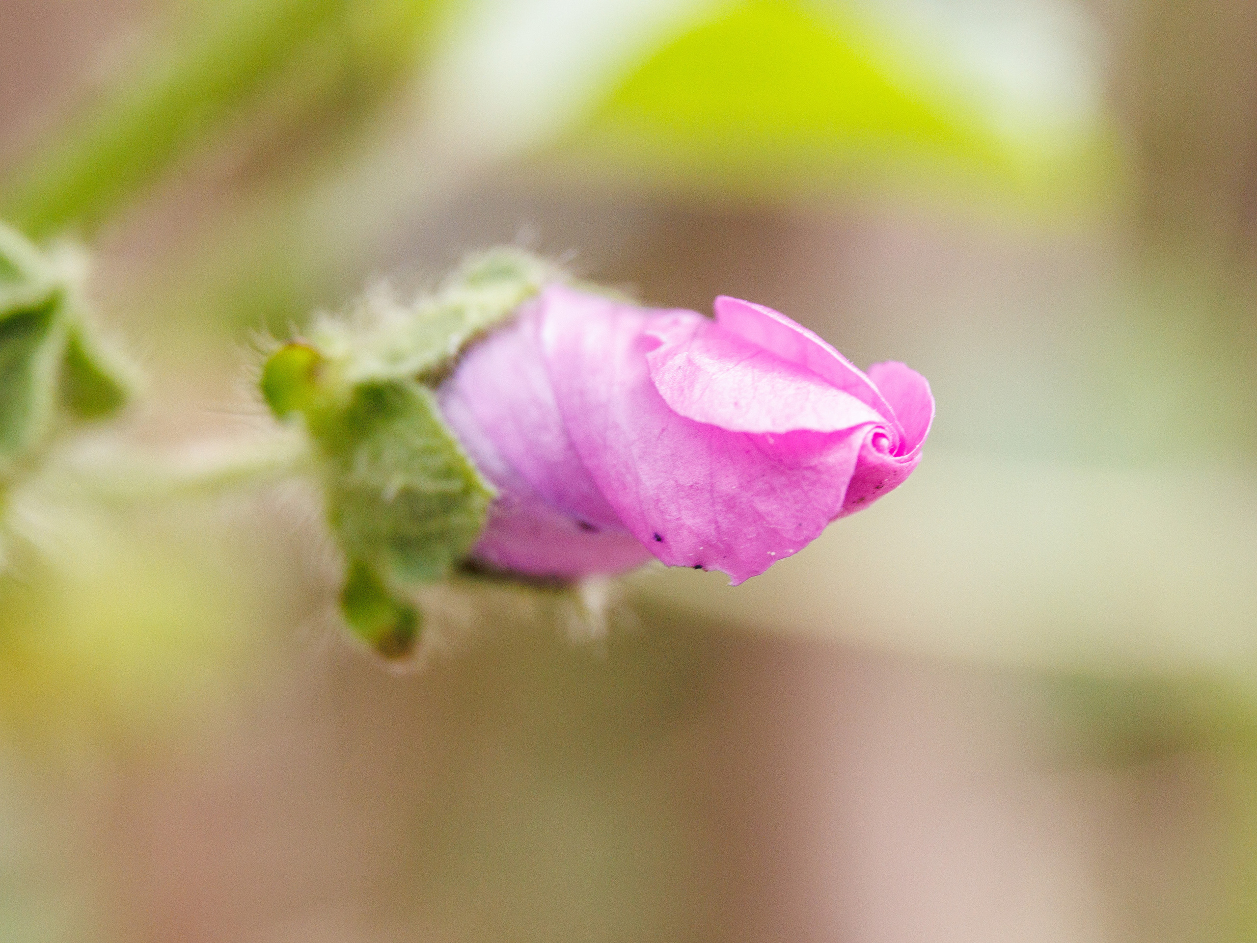 Out and About. Sam Jobi Media