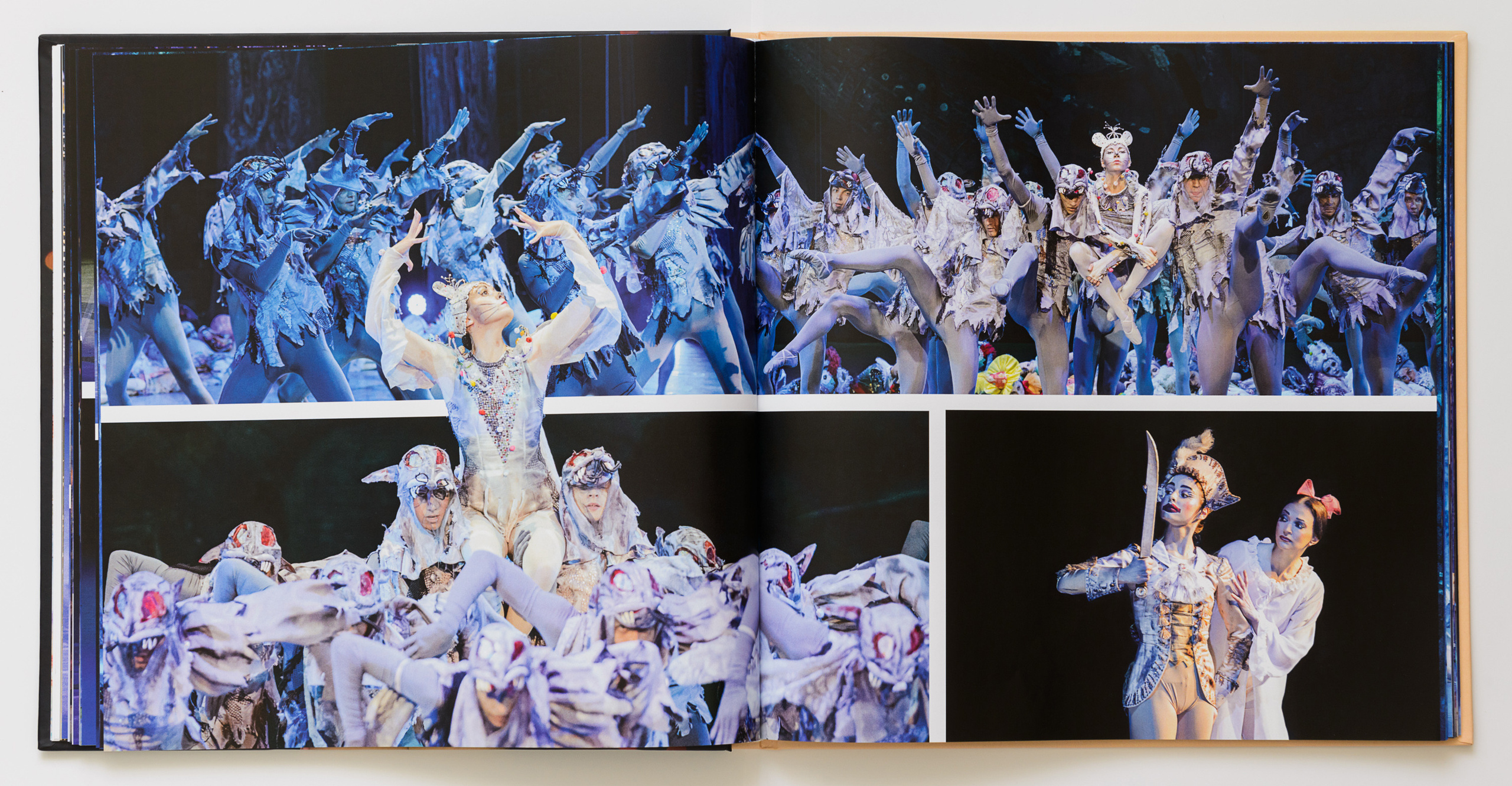 Балет. Фотоальбом Мгновения Валентина Елизарьева