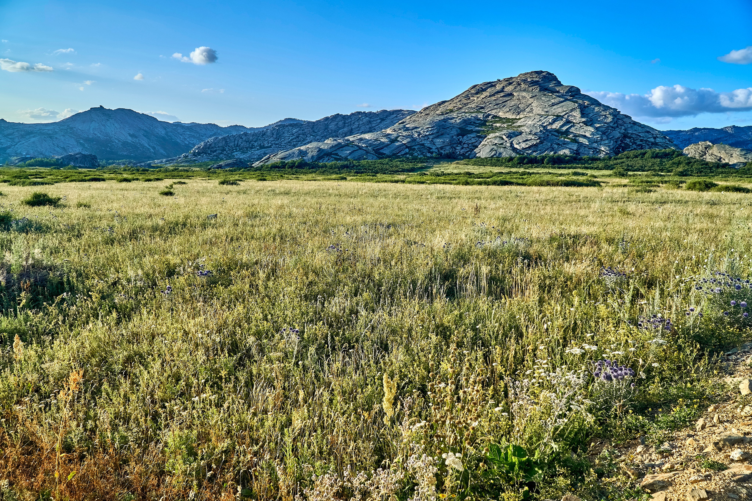 Sibiny (Kazachstan). Andriej Szypilow — Photography & Videography