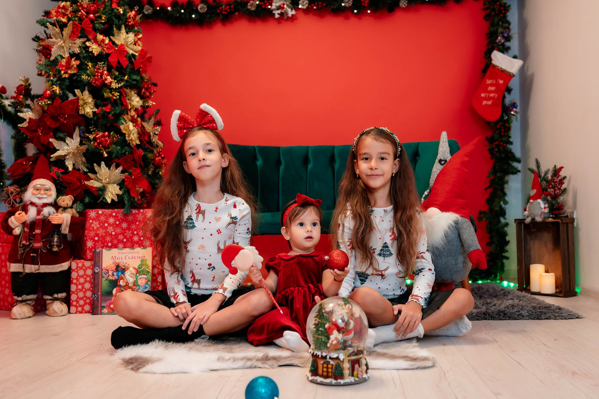 Sedinta Craciun Alina