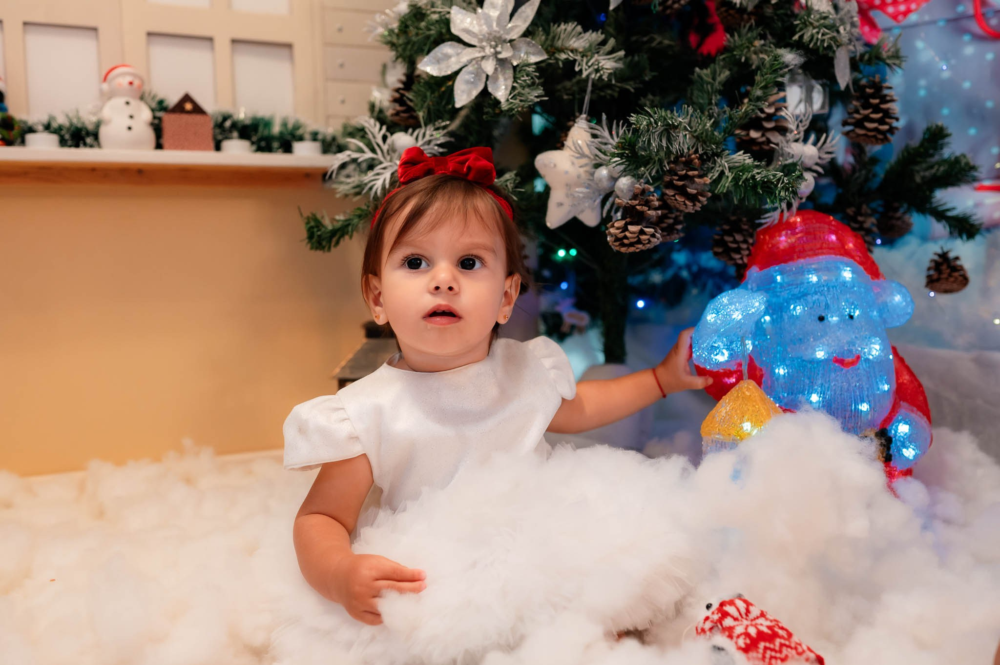 Sedinta Craciun Alina