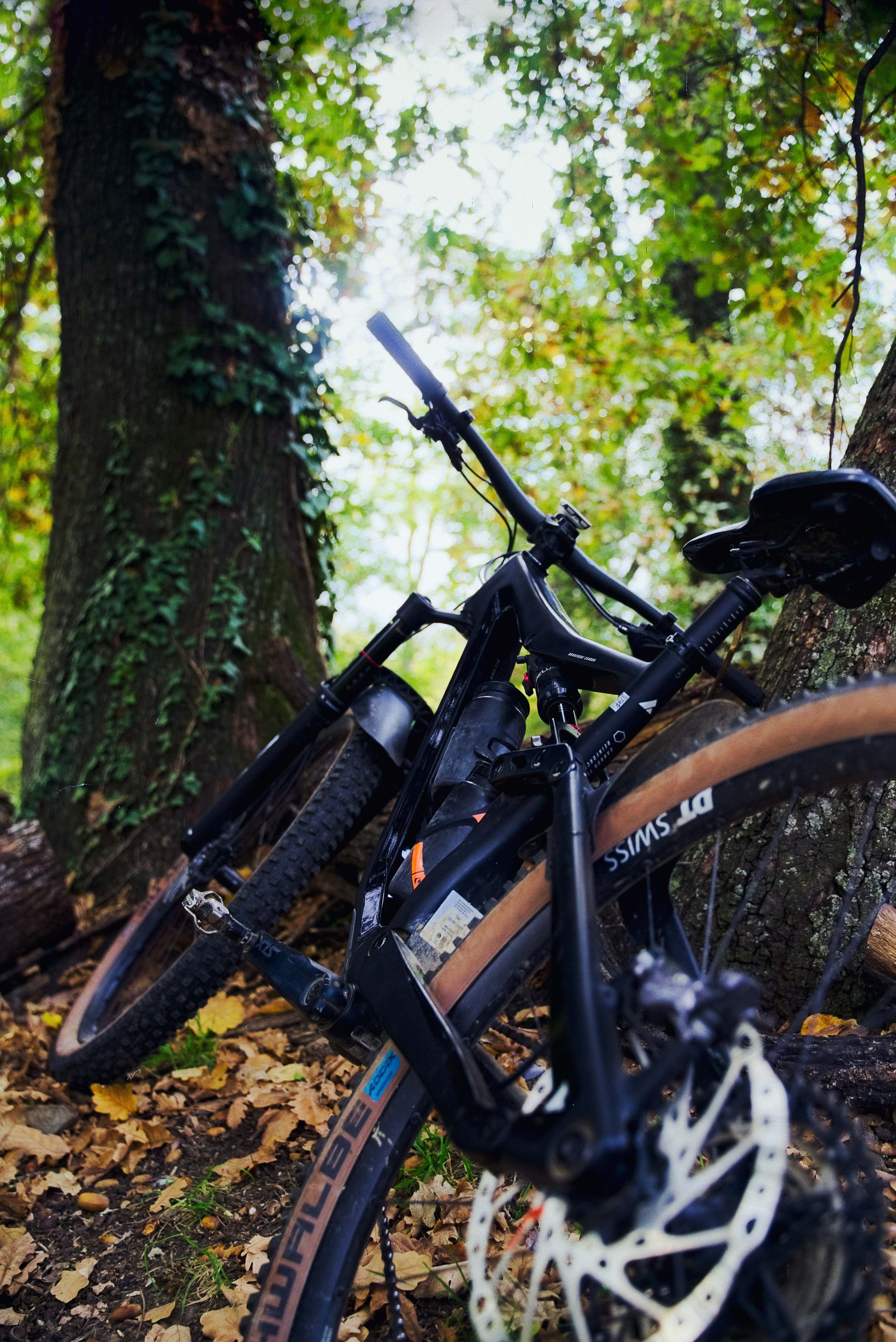 Reload energy shot. Жуков Студио